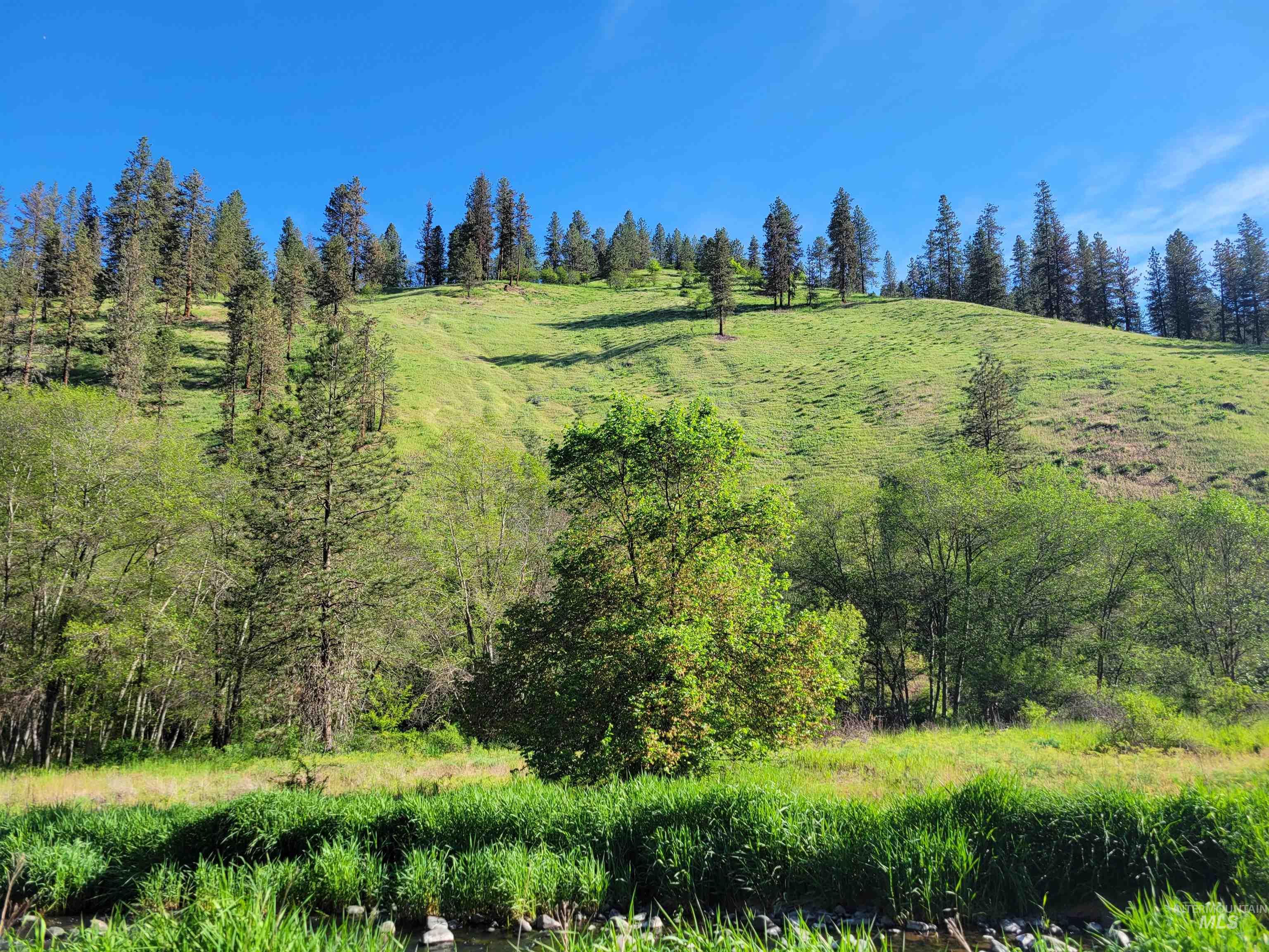 TBD Twisted Tree Lane, Peck, Idaho 83545, Land For Sale, Price $675,000,MLS 98978880
