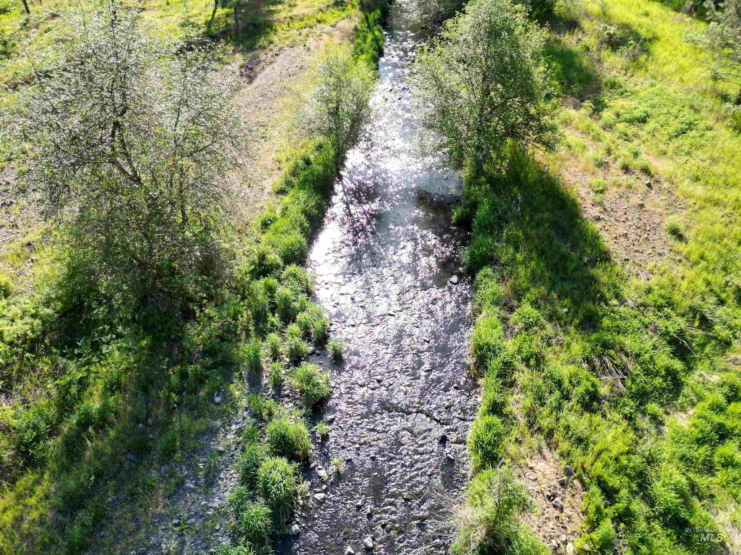 TBD Twisted Tree Lane, Peck, Idaho 83545, Land For Sale, Price $675,000,MLS 98978880