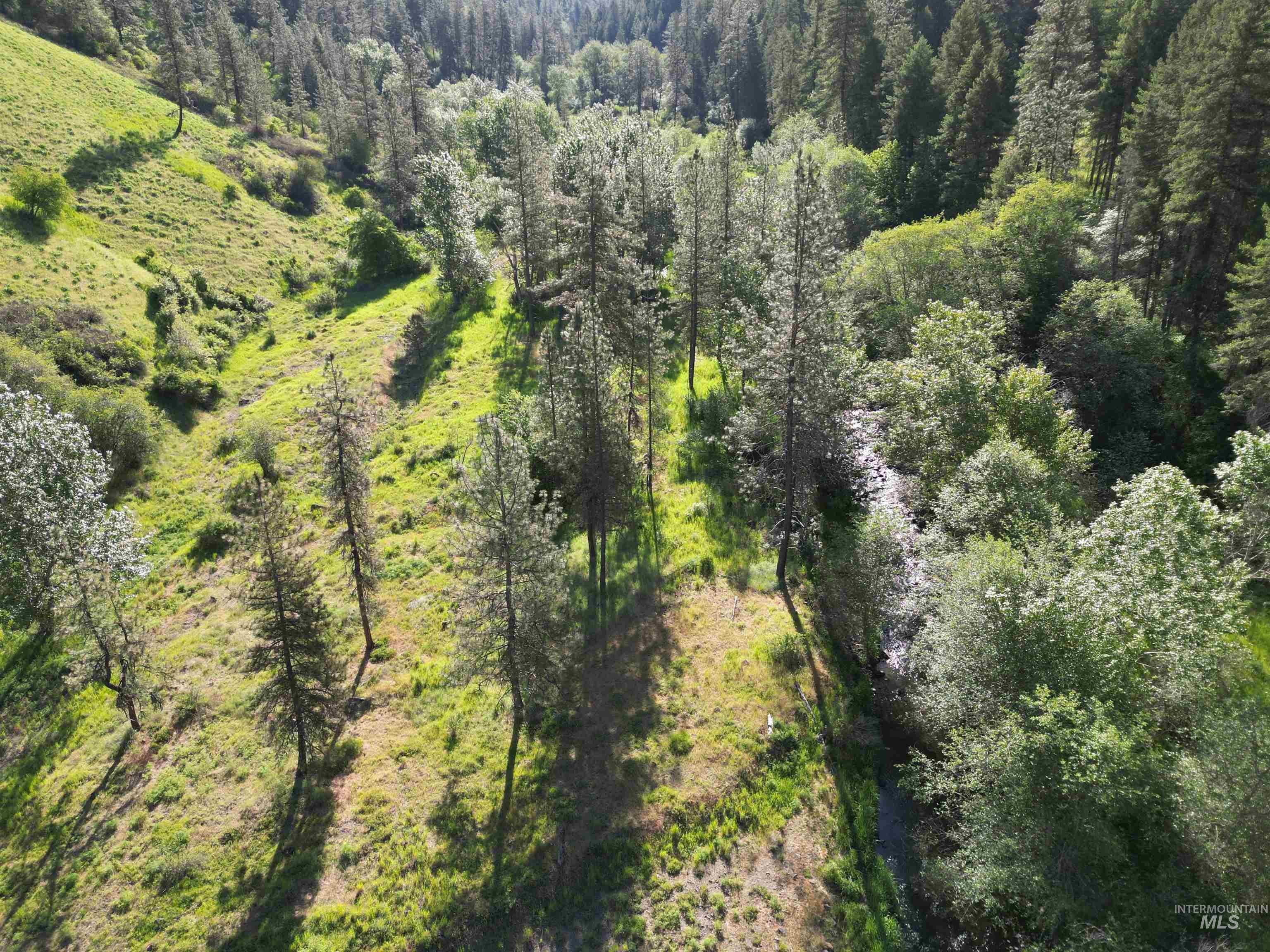TBD Twisted Tree Lane, Peck, Idaho 83545, Land For Sale, Price $675,000,MLS 98978880