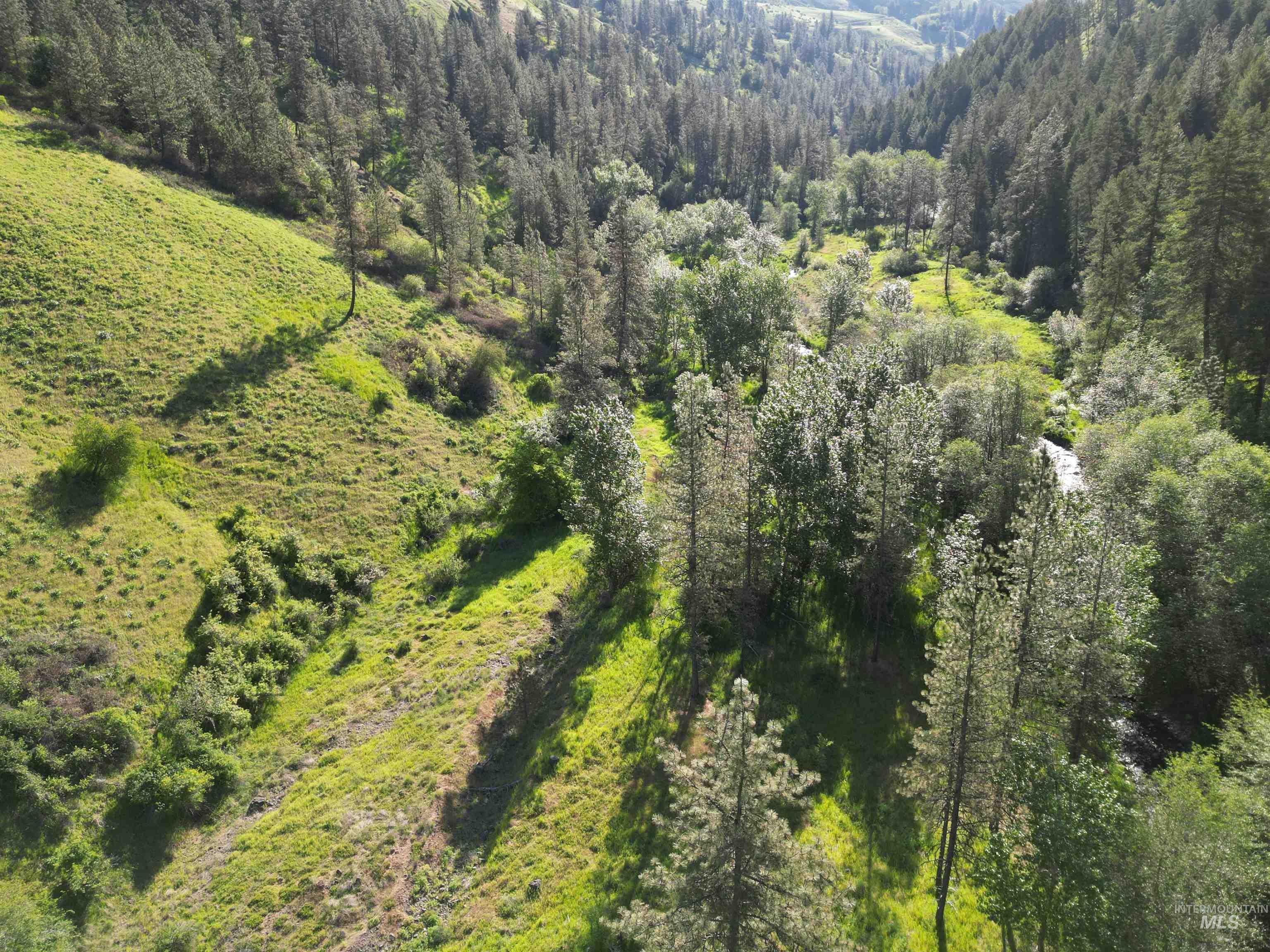 TBD Twisted Tree Lane, Peck, Idaho 83545, Land For Sale, Price $675,000,MLS 98978880