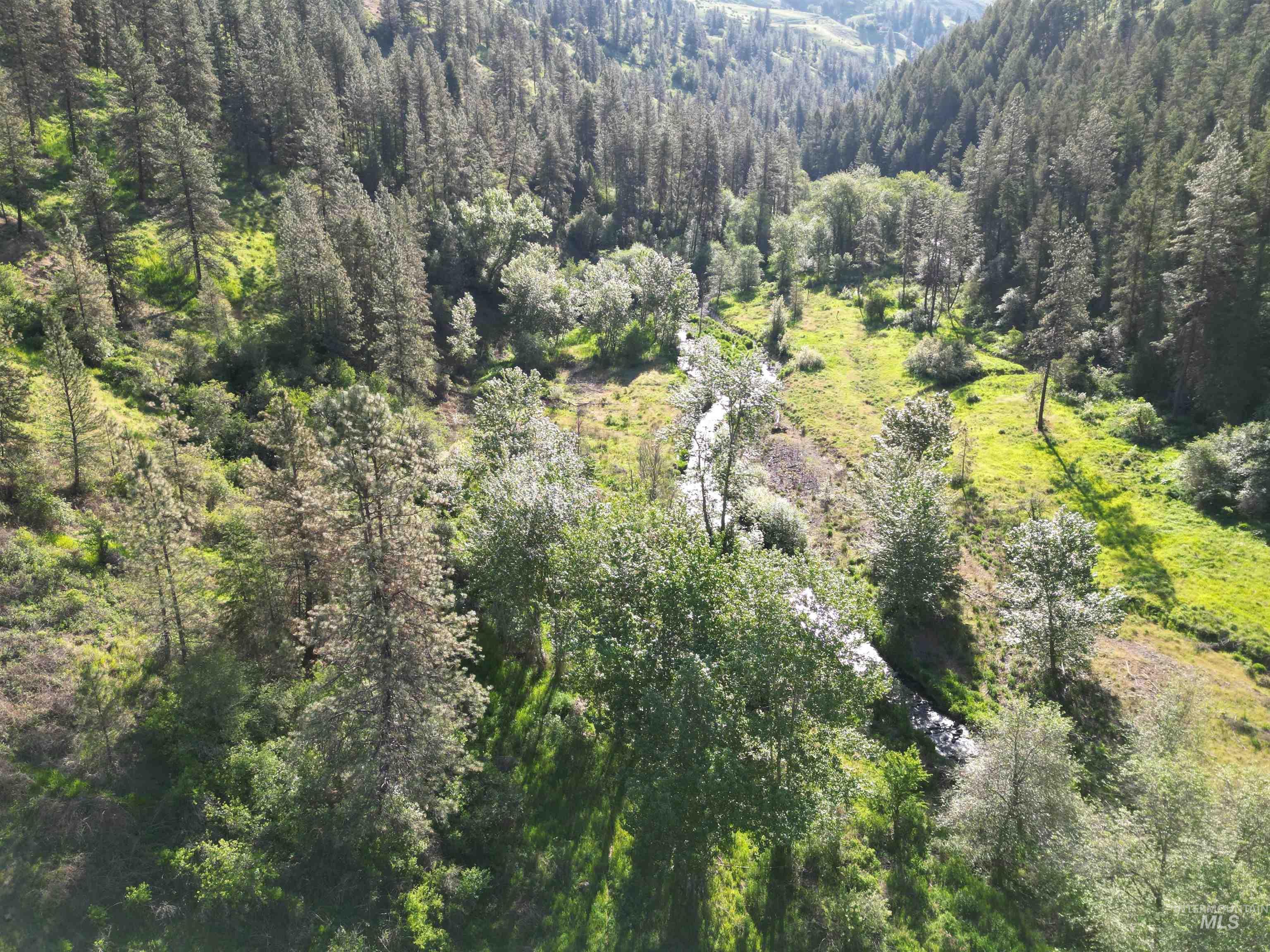 TBD Twisted Tree Lane, Peck, Idaho 83545, Land For Sale, Price $675,000,MLS 98978880