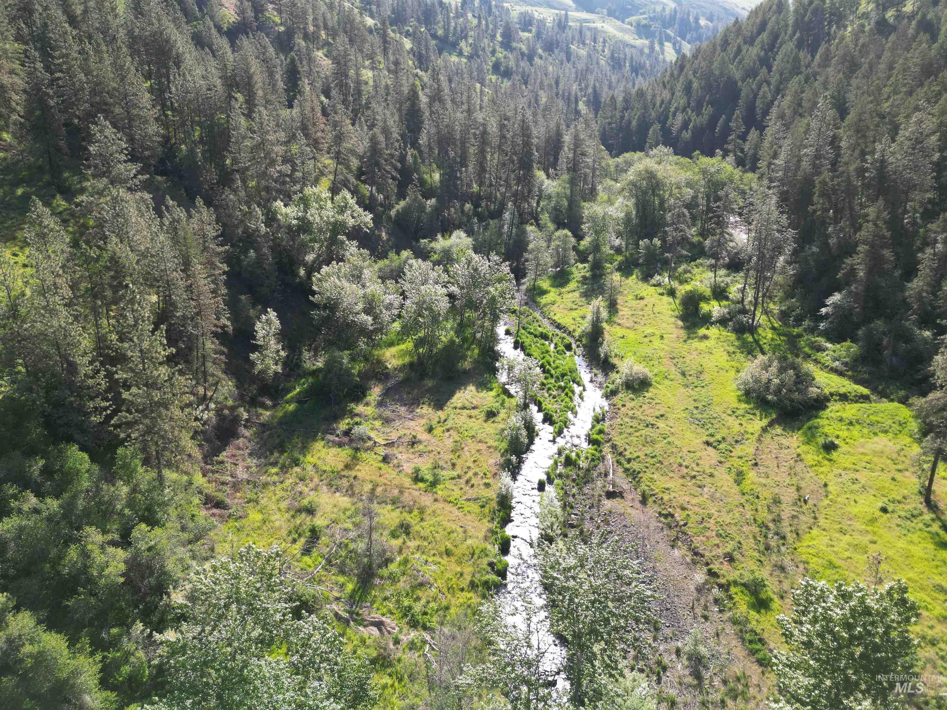 TBD Twisted Tree Lane, Peck, Idaho 83545, Land For Sale, Price $675,000,MLS 98978880