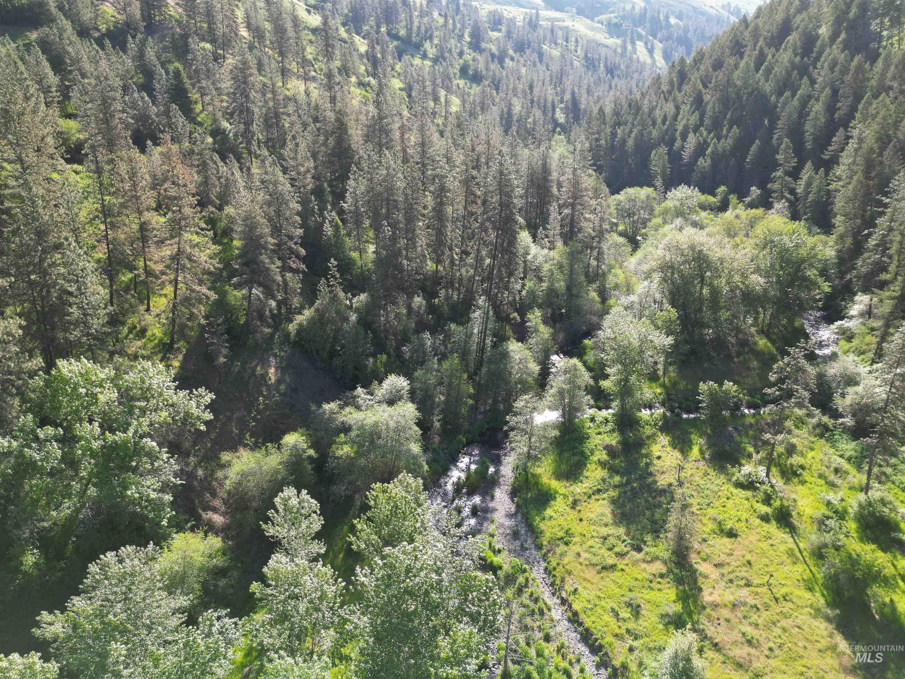 TBD Twisted Tree Lane, Peck, Idaho 83545, Land For Sale, Price $675,000,MLS 98978880