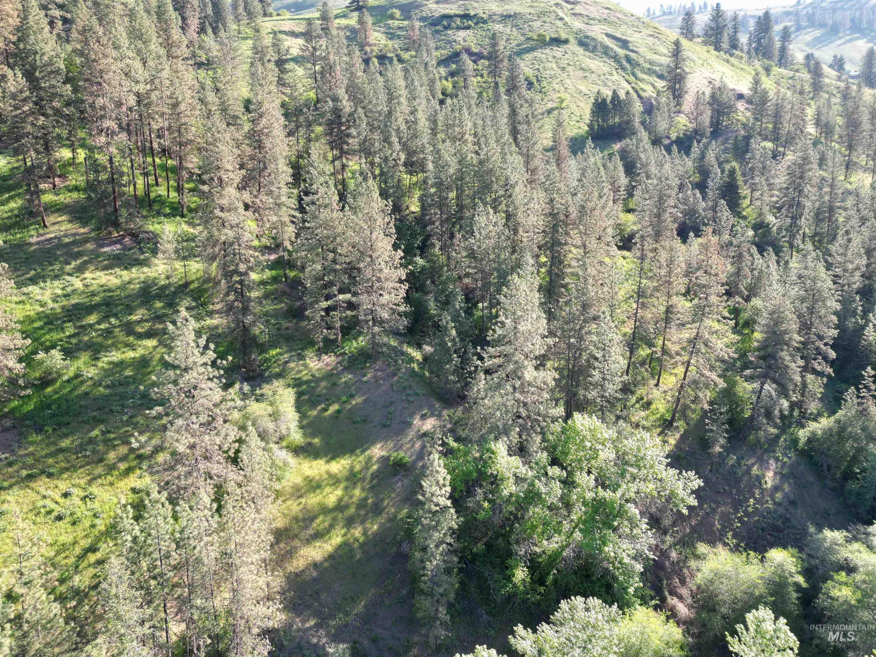 TBD Twisted Tree Lane, Peck, Idaho 83545, Land For Sale, Price $675,000,MLS 98978880