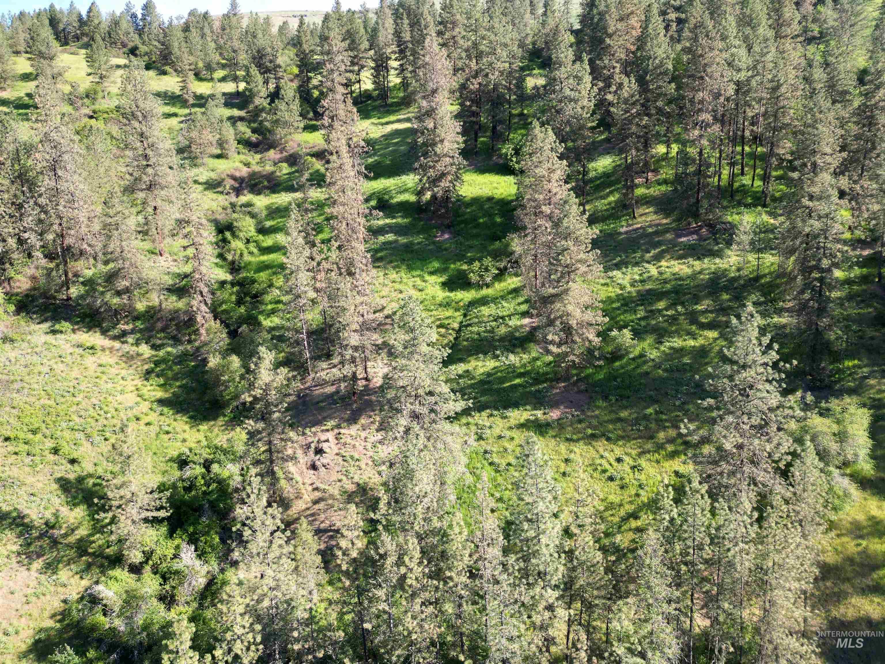 TBD Twisted Tree Lane, Peck, Idaho 83545, Land For Sale, Price $675,000,MLS 98978880