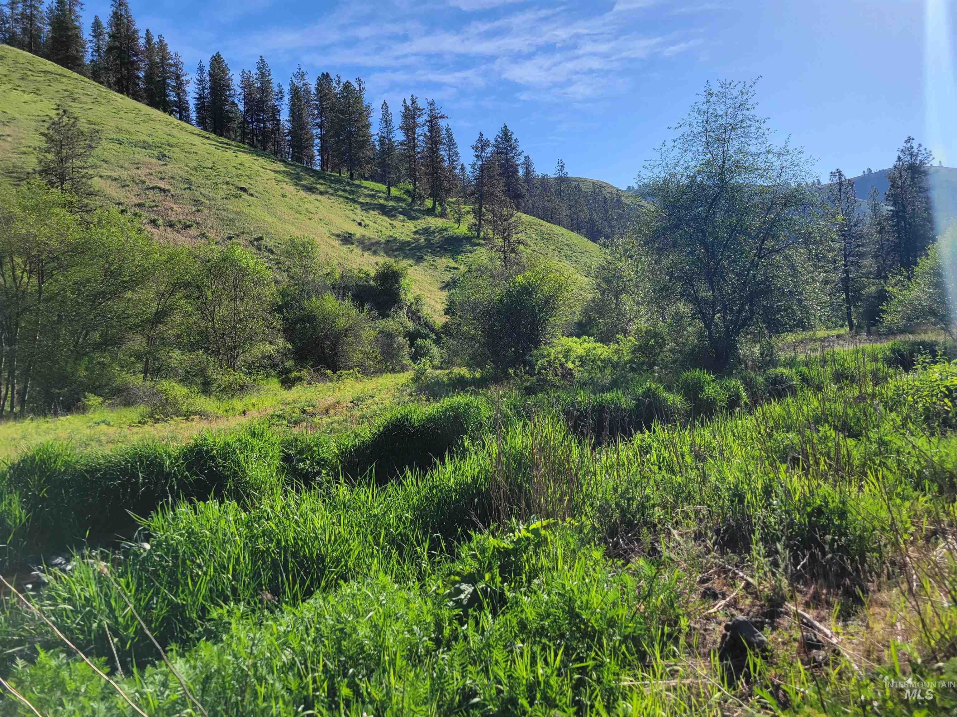 TBD Twisted Tree Lane, Peck, Idaho 83545, Land For Sale, Price $675,000,MLS 98978880