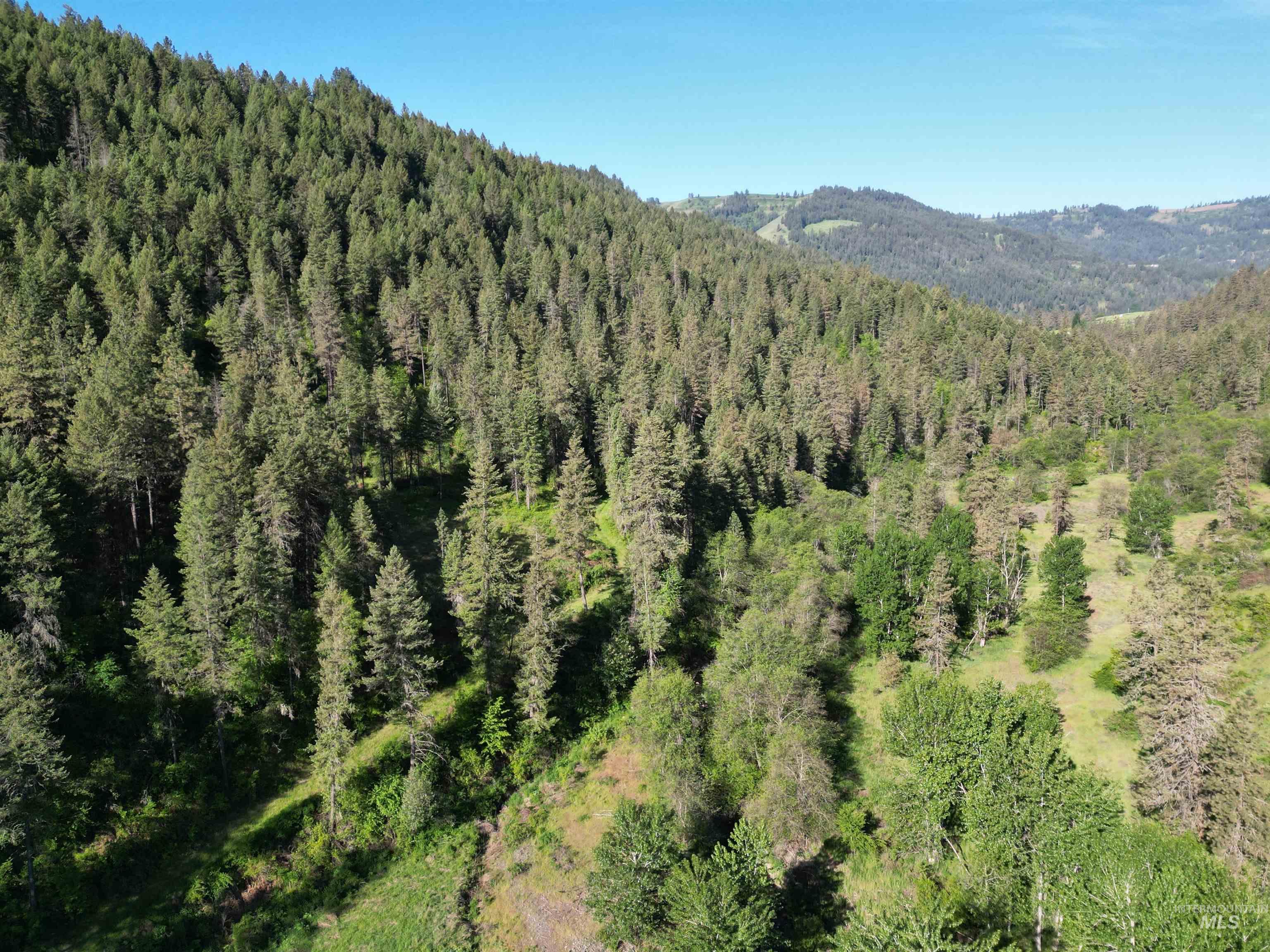 TBD Twisted Tree Lane, Peck, Idaho 83545, Land For Sale, Price $675,000,MLS 98978880