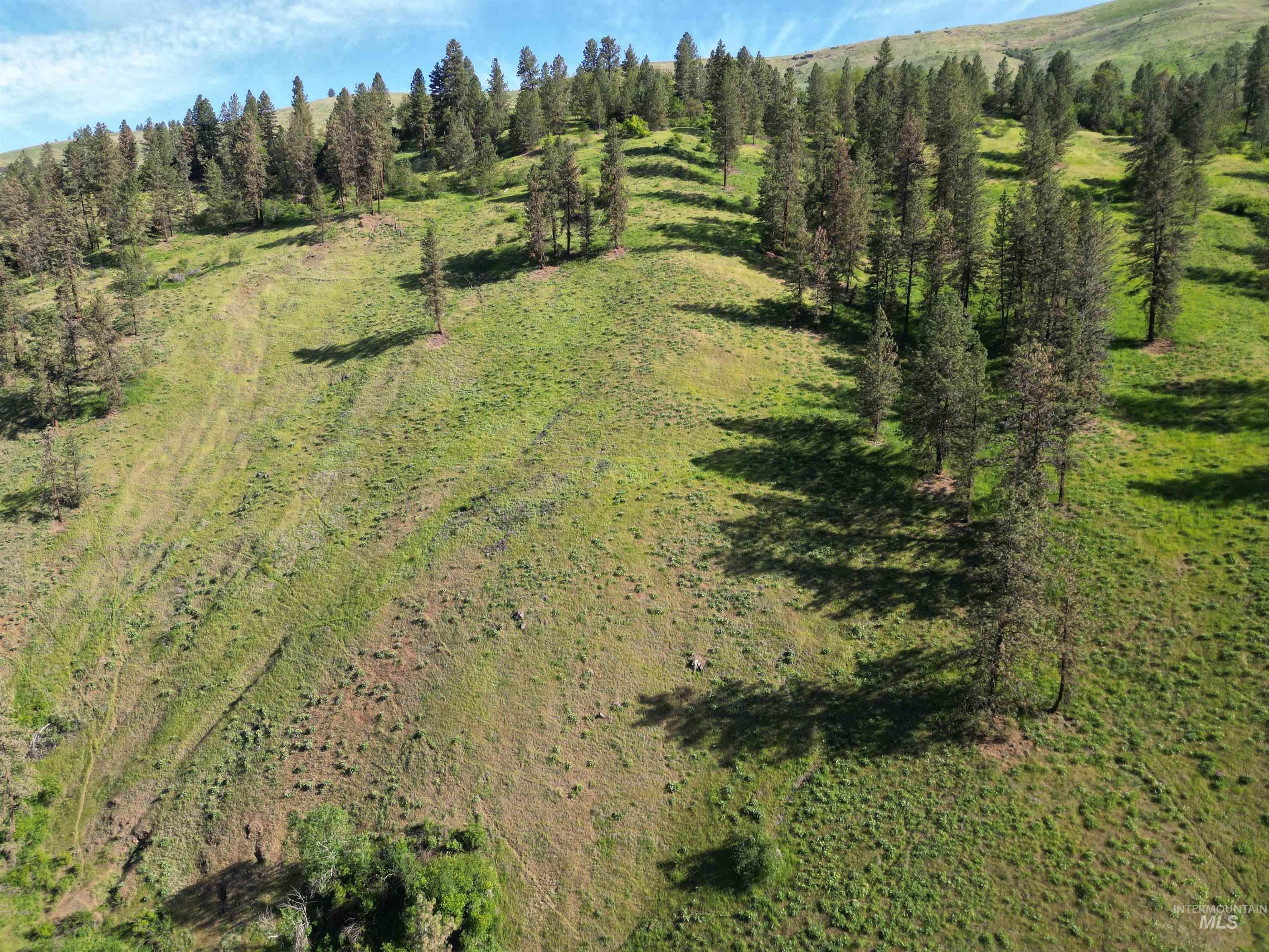 TBD Twisted Tree Lane, Peck, Idaho 83545, Land For Sale, Price $675,000,MLS 98978880