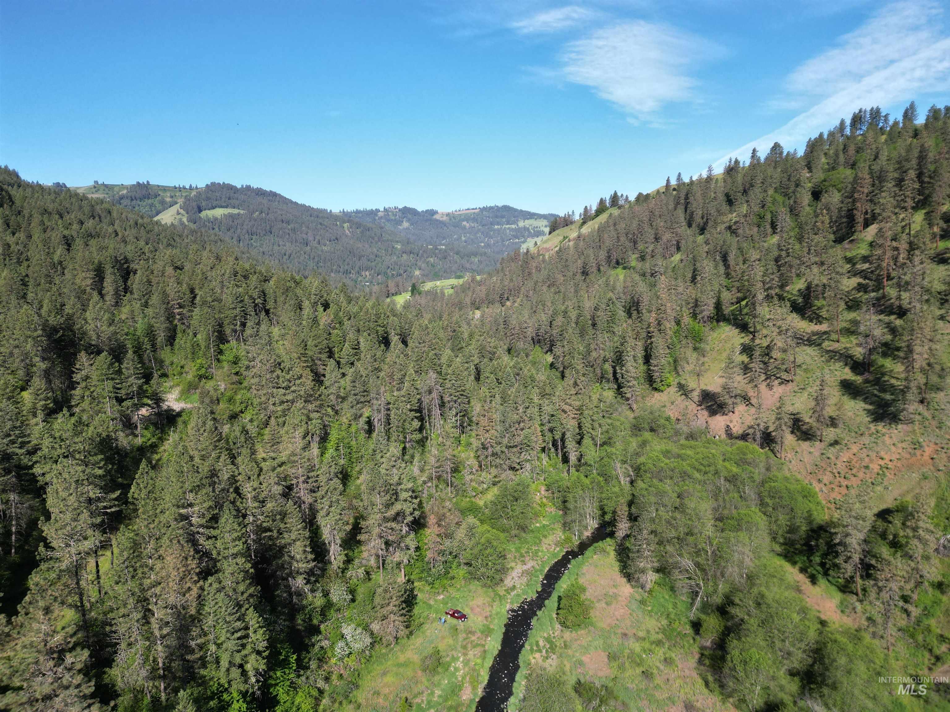 TBD Twisted Tree Lane, Peck, Idaho 83545, Land For Sale, Price $675,000,MLS 98978880