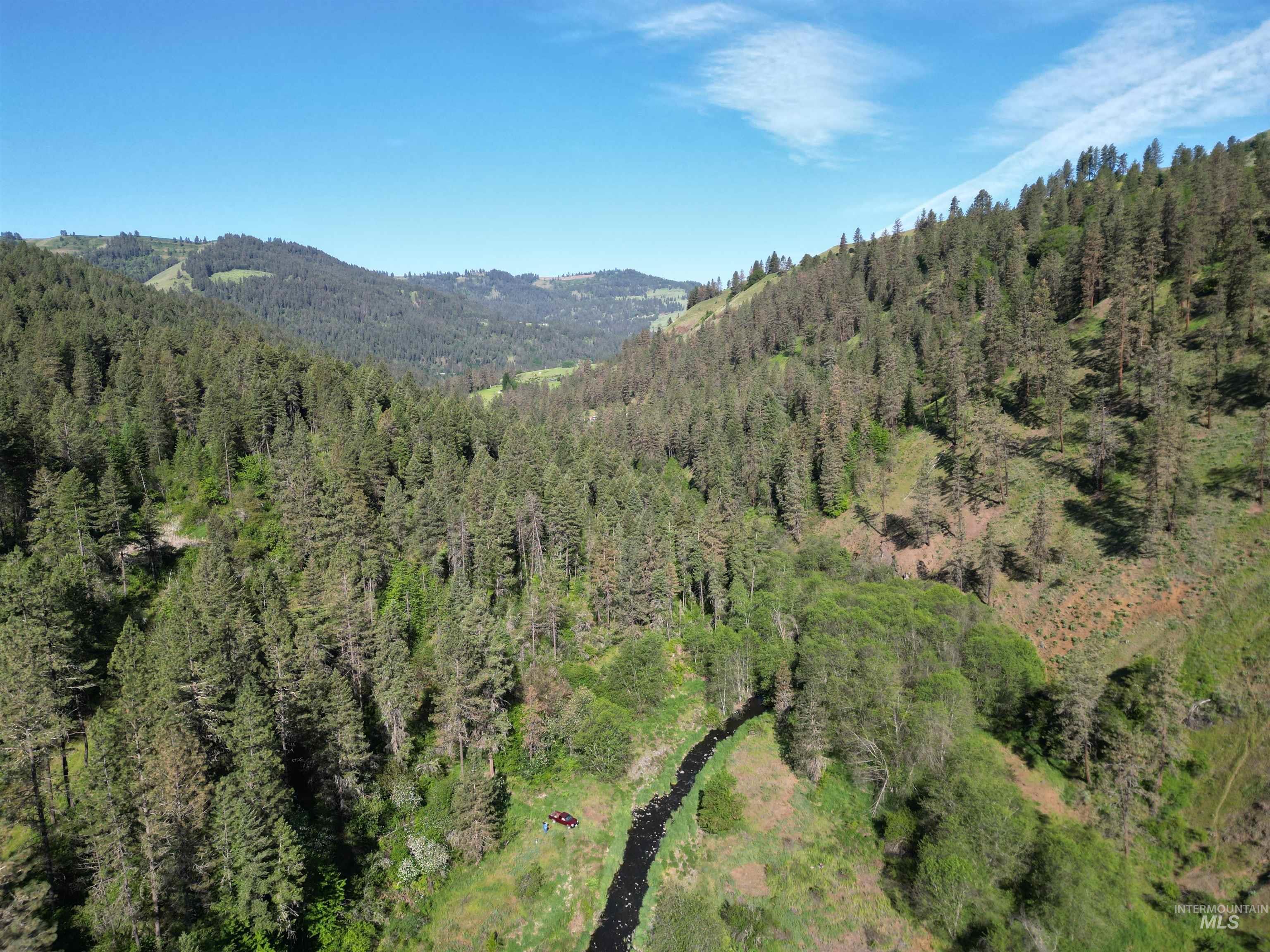 TBD Twisted Tree Lane, Peck, Idaho 83545, Land For Sale, Price $675,000,MLS 98978880