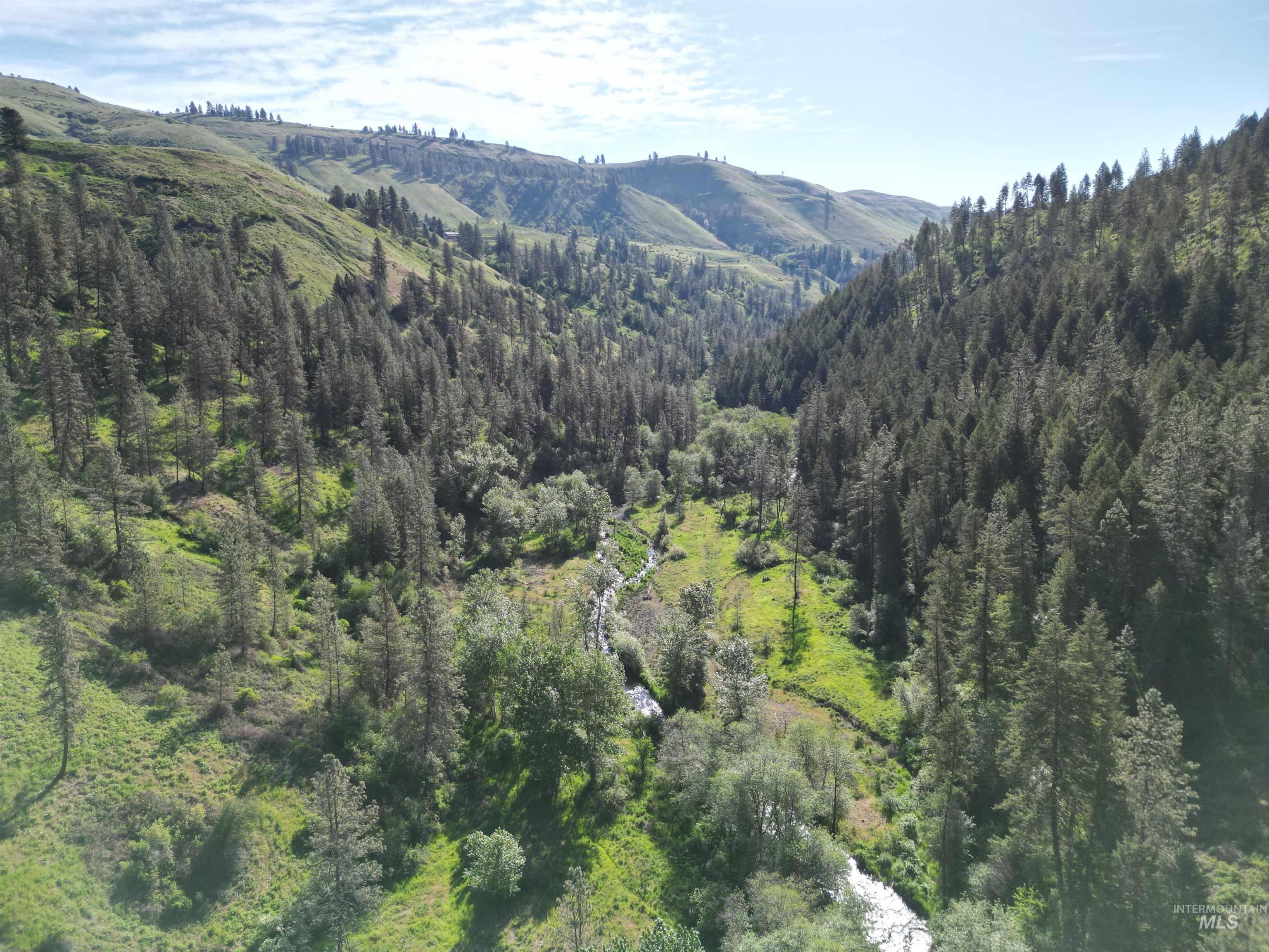 TBD Twisted Tree Lane, Peck, Idaho 83545, Land For Sale, Price $675,000,MLS 98978880