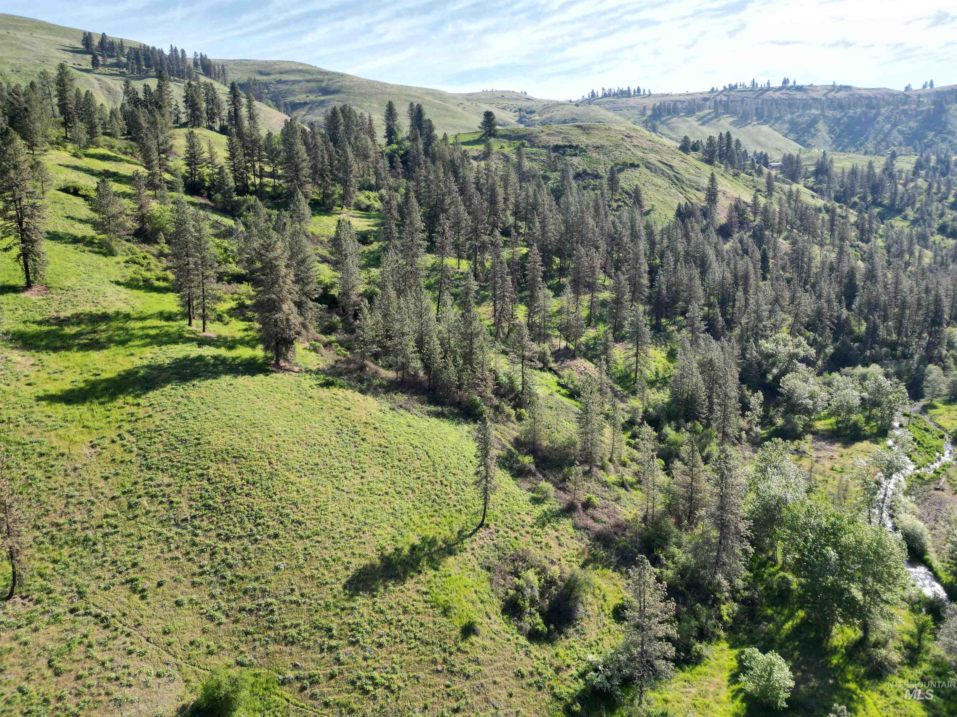 TBD Twisted Tree Lane, Peck, Idaho 83545, Land For Sale, Price $675,000,MLS 98978880