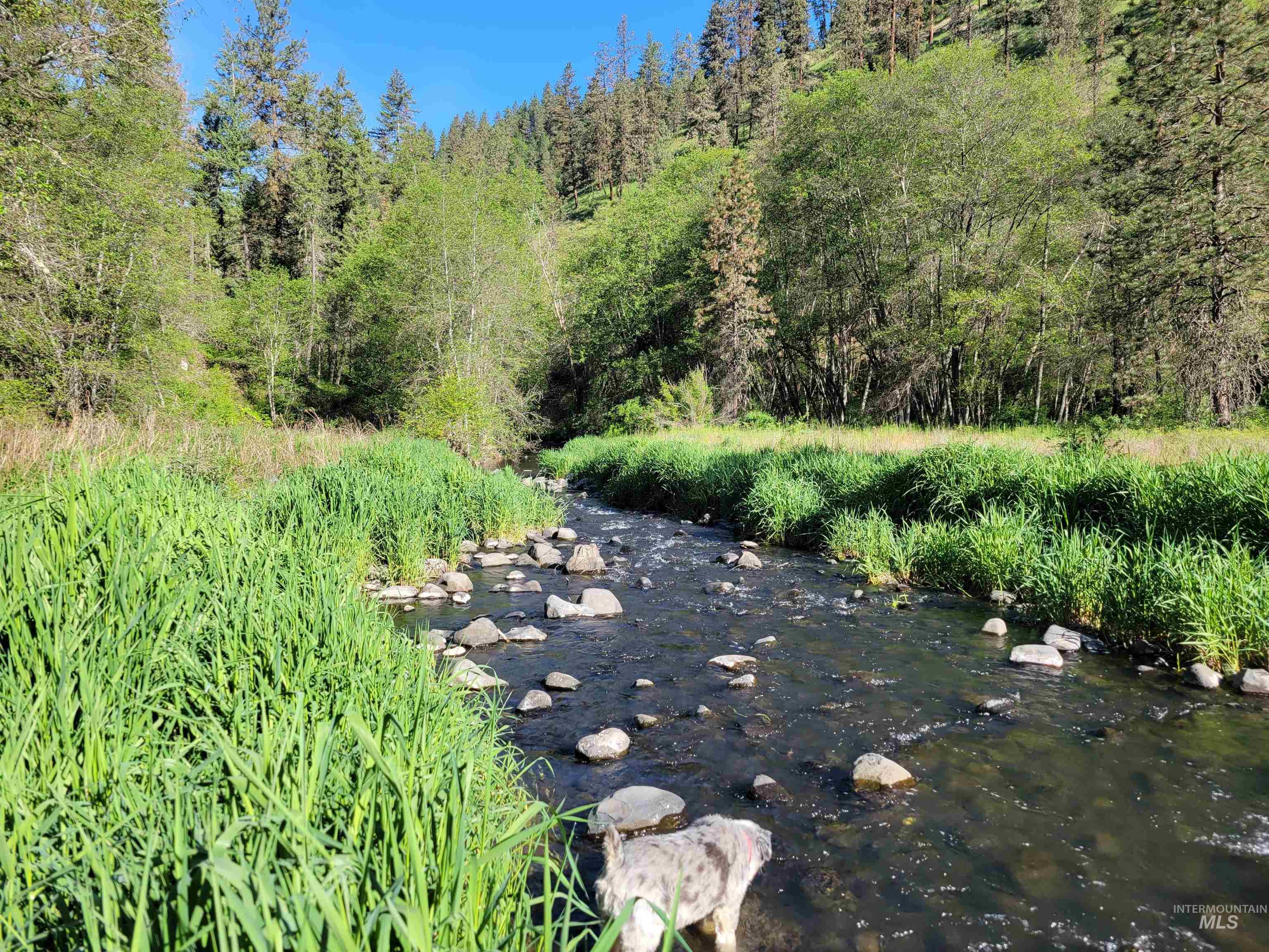 TBD Twisted Tree Lane, Peck, Idaho 83545, Land For Sale, Price $675,000,MLS 98978880