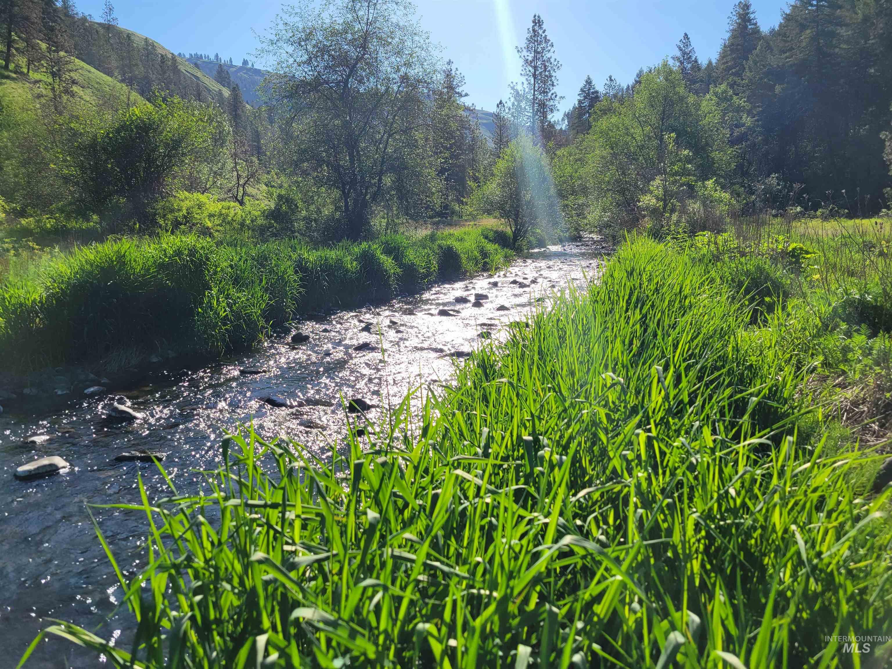 TBD Twisted Tree Lane, Peck, Idaho 83545, Land For Sale, Price $675,000,MLS 98978880