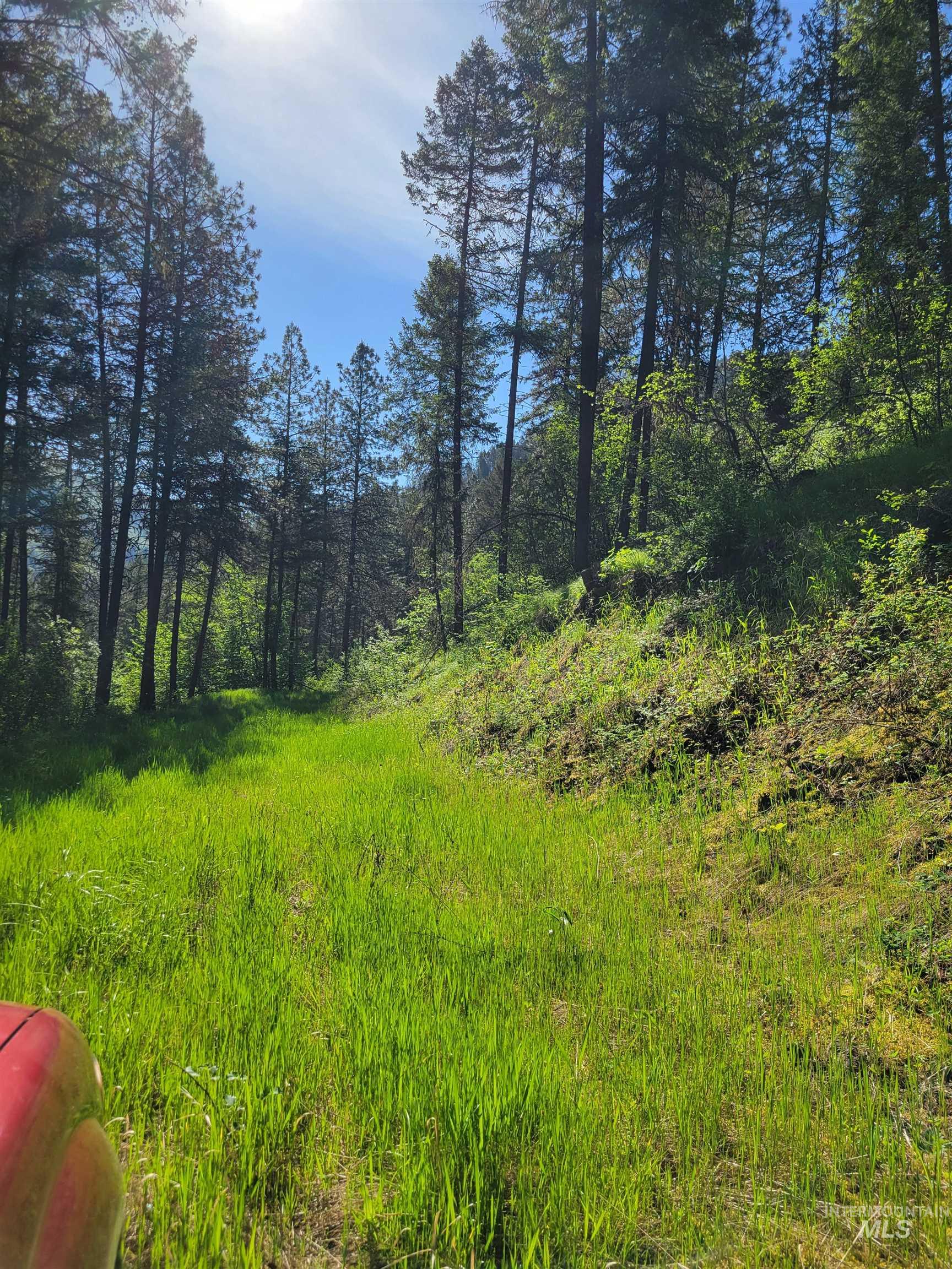 TBD Twisted Tree Lane, Peck, Idaho 83545, Land For Sale, Price $675,000,MLS 98978880