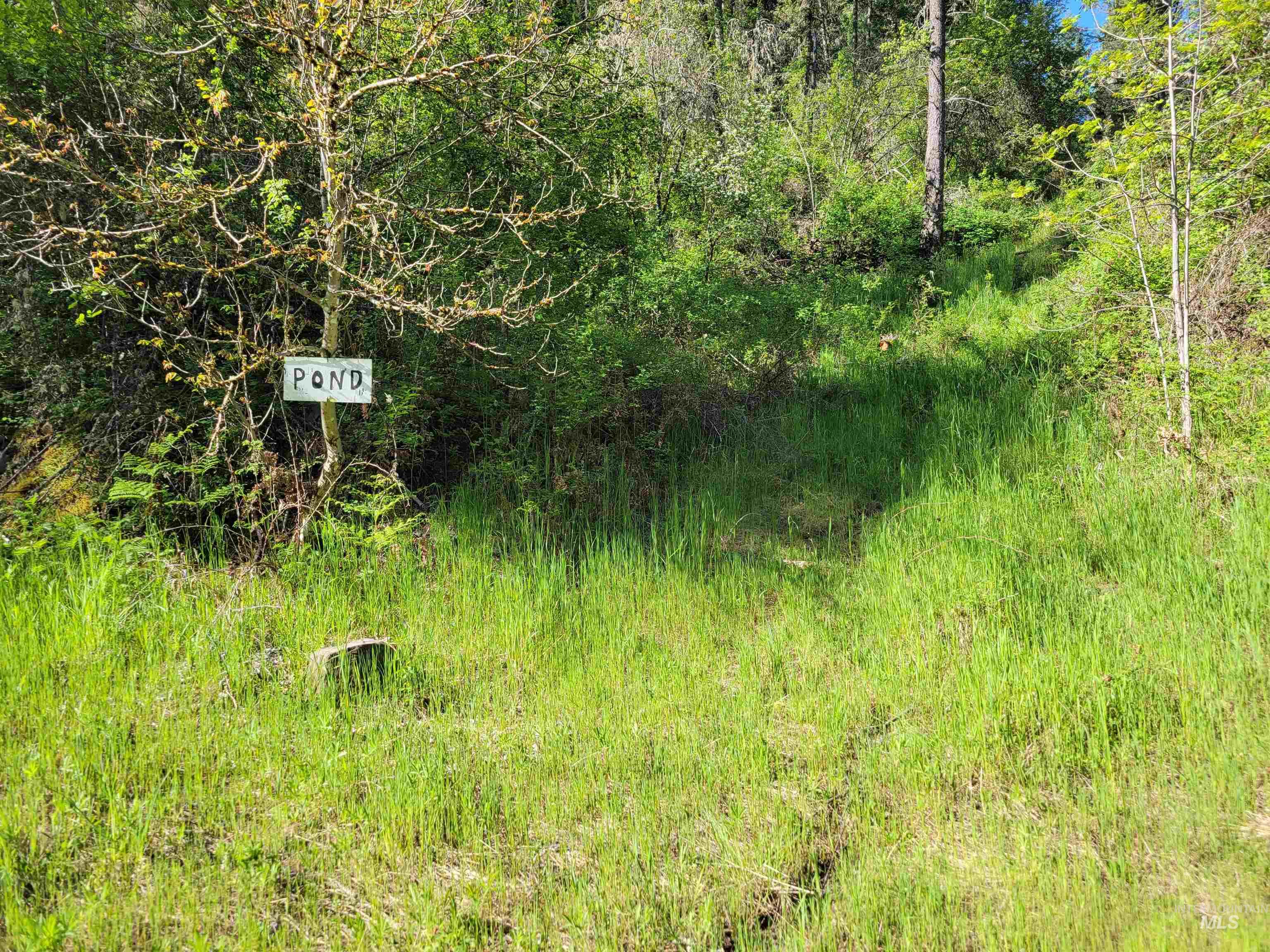 TBD Twisted Tree Lane, Peck, Idaho 83545, Land For Sale, Price $675,000,MLS 98978880