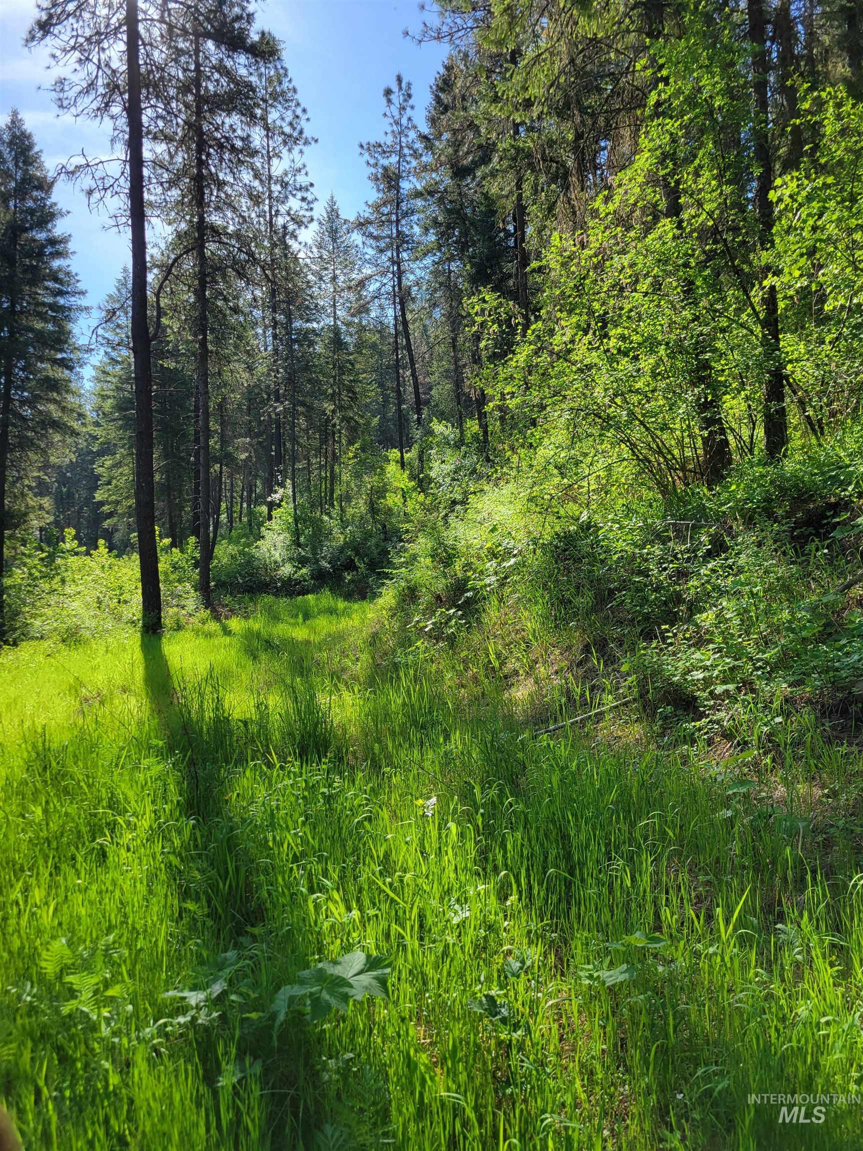 TBD Twisted Tree Lane, Peck, Idaho 83545, Land For Sale, Price $675,000,MLS 98978880