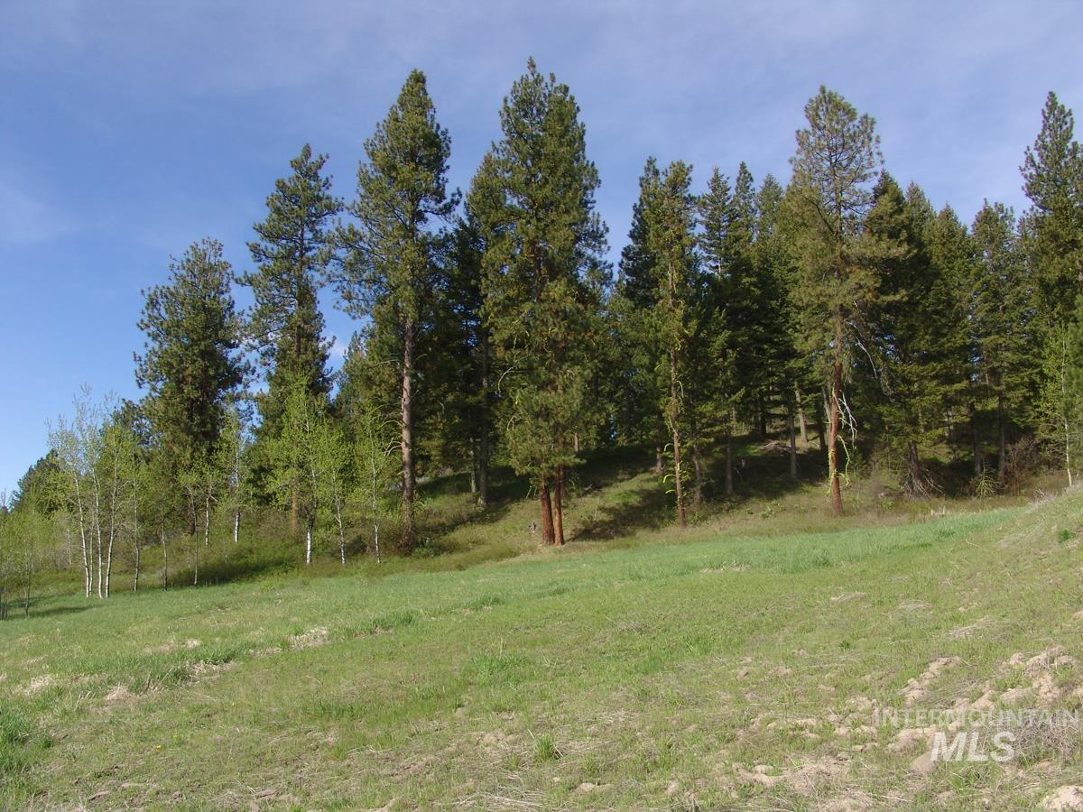 21 Rehn Loop, Cascade, Idaho 83611-9999, Land For Sale, Price $245,000,MLS 98978890