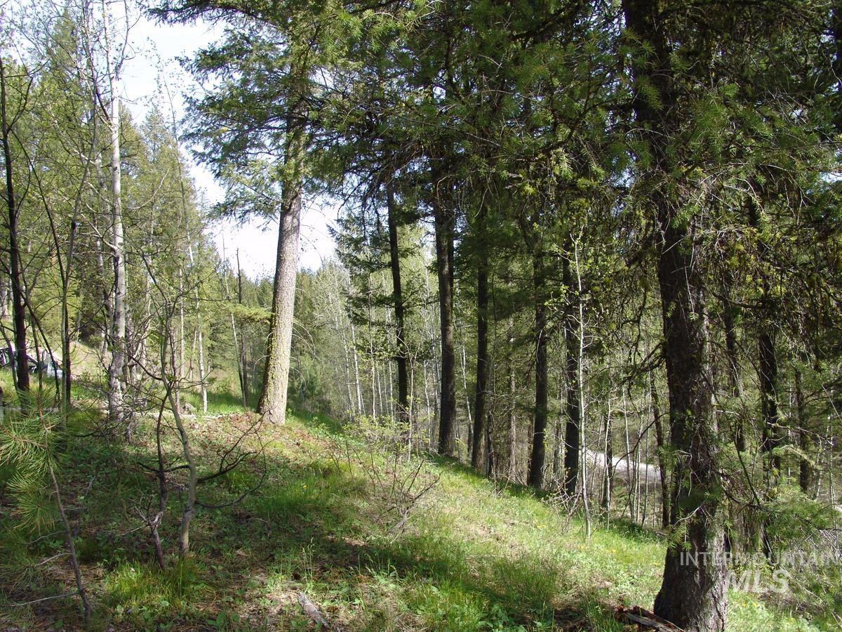 21 Rehn Loop, Cascade, Idaho 83611-9999, Land For Sale, Price $245,000,MLS 98978890