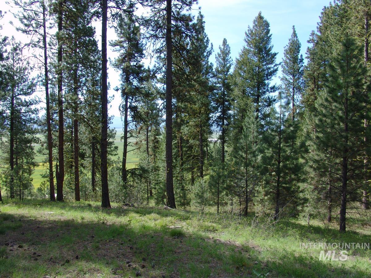 21 Rehn Loop, Cascade, Idaho 83611-9999, Land For Sale, Price $245,000,MLS 98978890