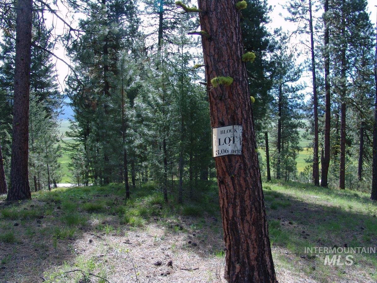 21 Rehn Loop, Cascade, Idaho 83611-9999, Land For Sale, Price $245,000,MLS 98978890