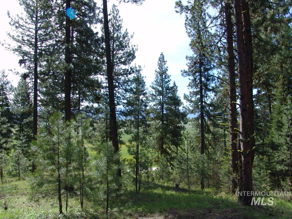21 Rehn Loop, Cascade, Idaho 83611-9999, Land For Sale, Price $245,000,MLS 98978890