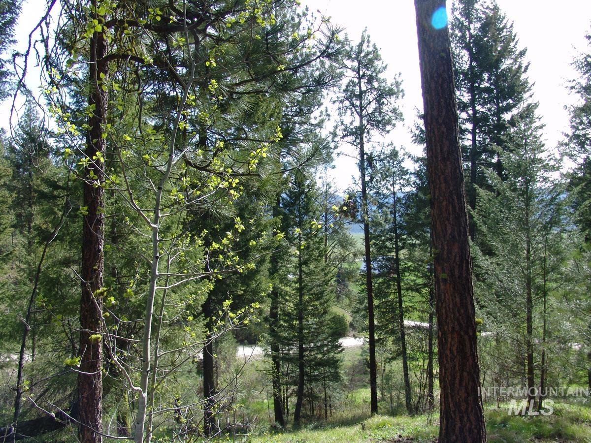 21 Rehn Loop, Cascade, Idaho 83611-9999, Land For Sale, Price $245,000,MLS 98978890