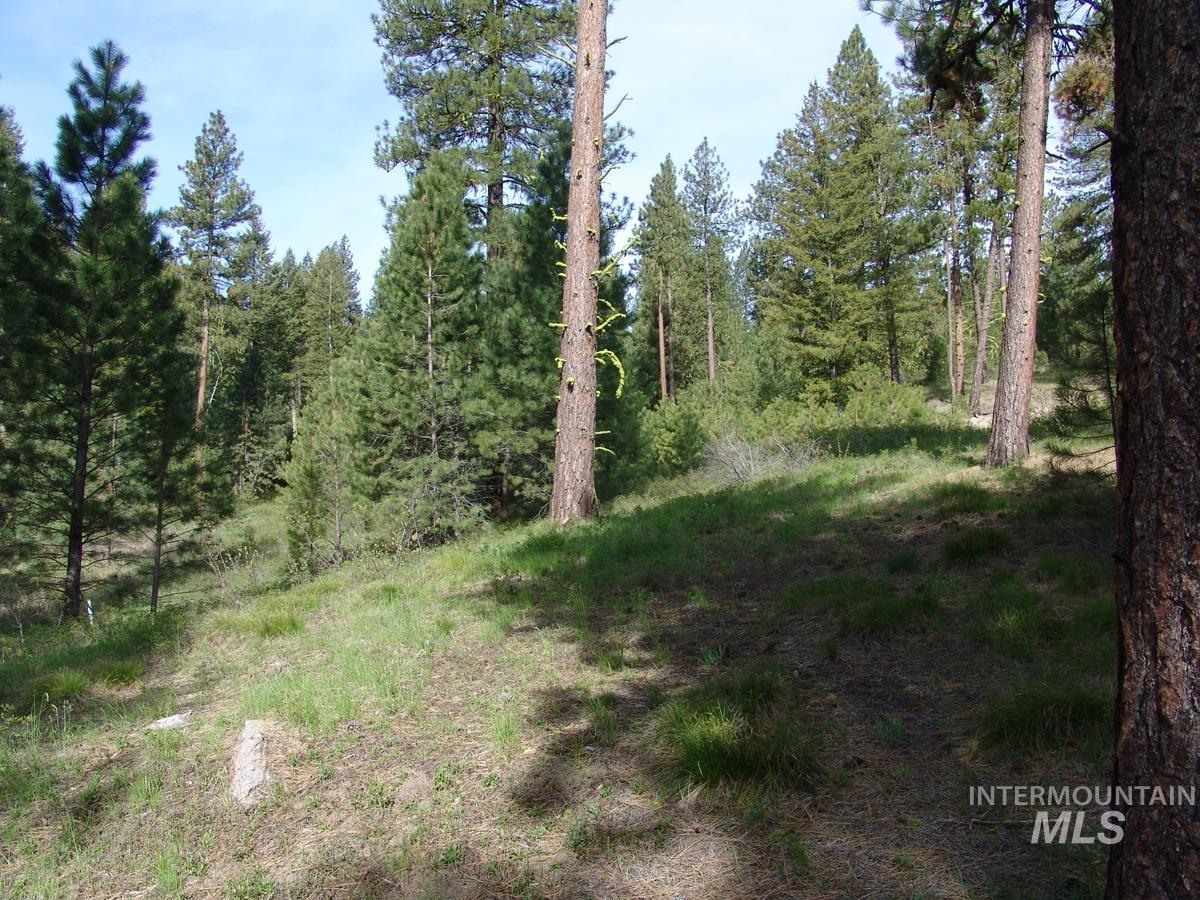 21 Rehn Loop, Cascade, Idaho 83611-9999, Land For Sale, Price $245,000,MLS 98978890