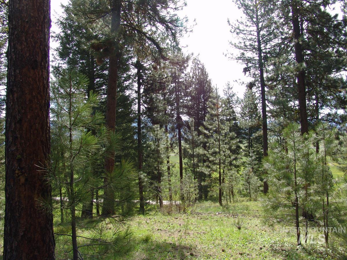 21 Rehn Loop, Cascade, Idaho 83611-9999, Land For Sale, Price $245,000,MLS 98978890