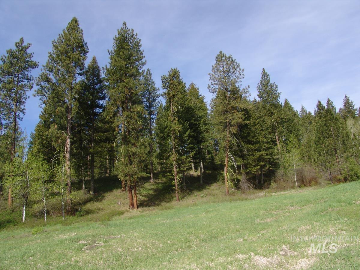 21 Rehn Loop, Cascade, Idaho 83611-9999, Land For Sale, Price $245,000,MLS 98978890
