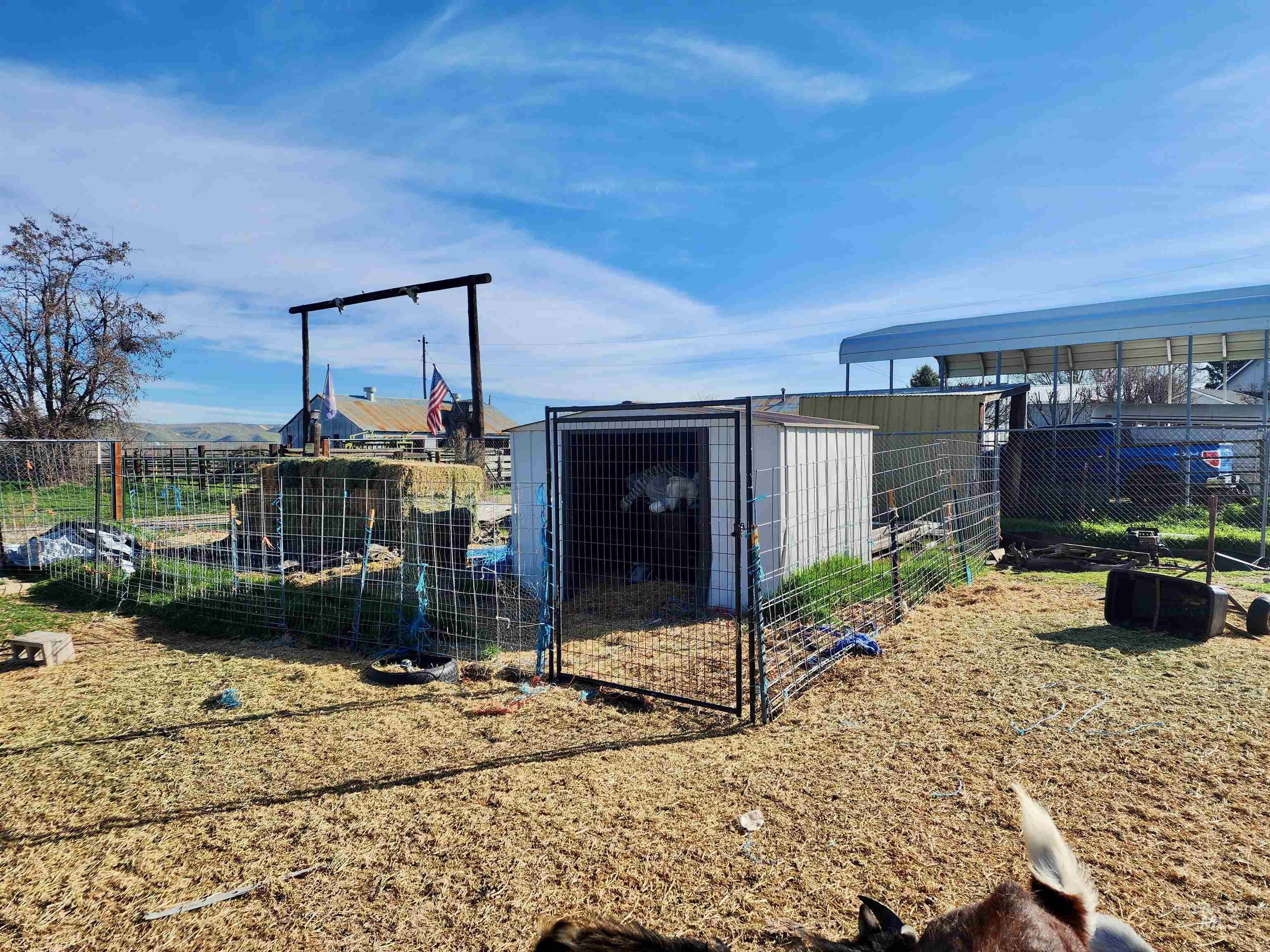 8188 N Pennsylvania Ave, Fruitland, Idaho 83619-3537, 4 Bedrooms, 2 Bathrooms, Residential For Sale, Price $335,000,MLS 98978909