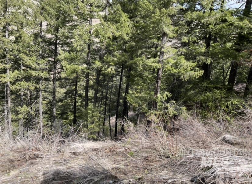 TBD State Highway 129, Anatone, Washington 99401, Land For Sale, Price $34,900,MLS 98978915