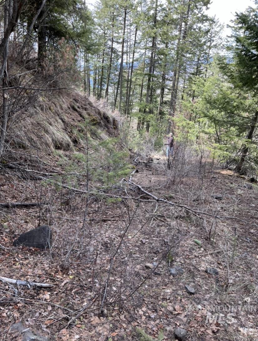 TBD State Highway 129, Anatone, Washington 99401, Land For Sale, Price $34,900,MLS 98978915