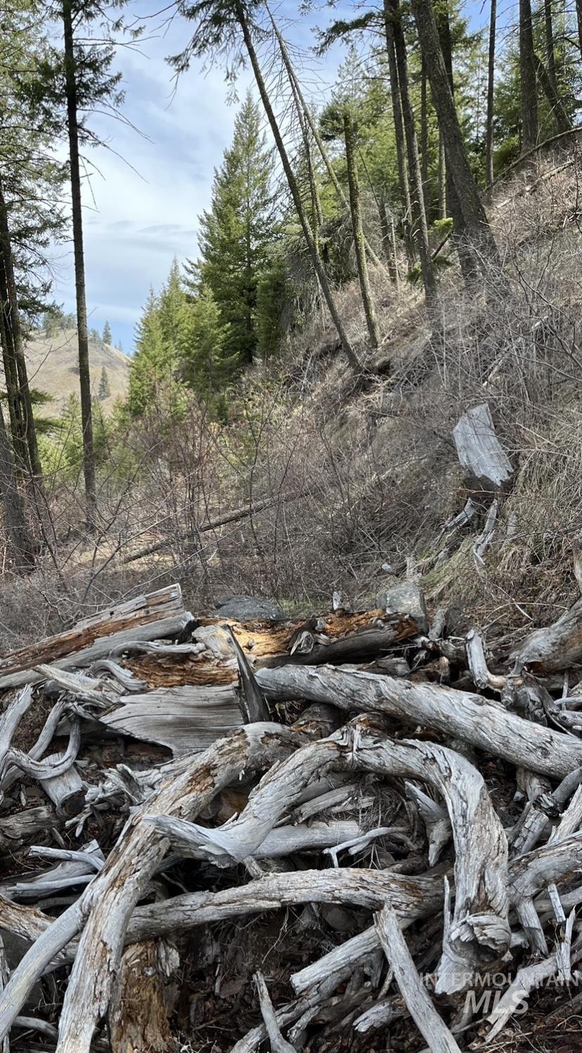 TBD State Highway 129, Anatone, Washington 99401, Land For Sale, Price $34,900,MLS 98978915