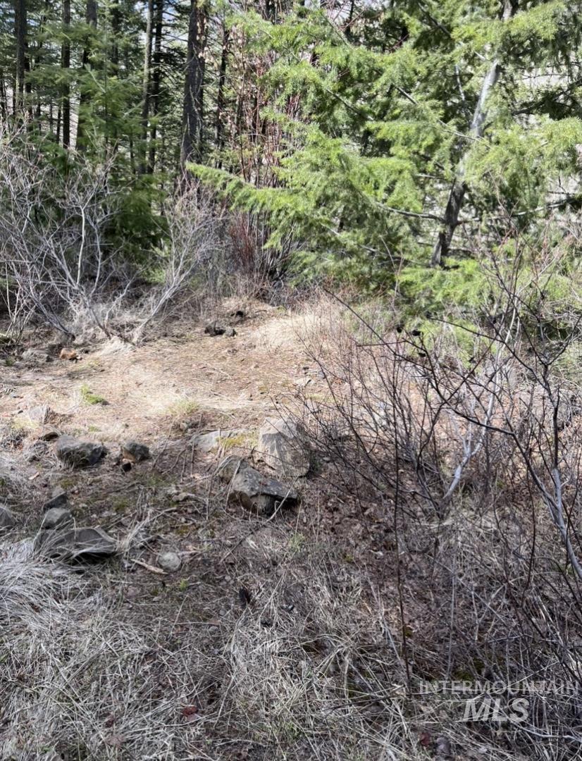 TBD State Highway 129, Anatone, Washington 99401, Land For Sale, Price $34,900,MLS 98978915