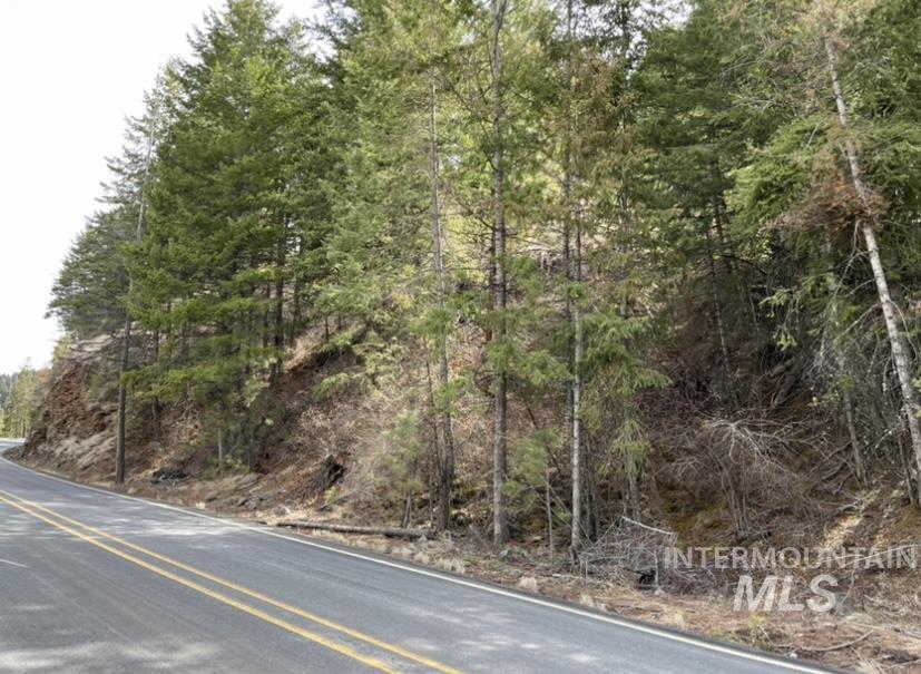 TBD State Highway 129, Anatone, Washington 99401, Land For Sale, Price $34,900,MLS 98978915