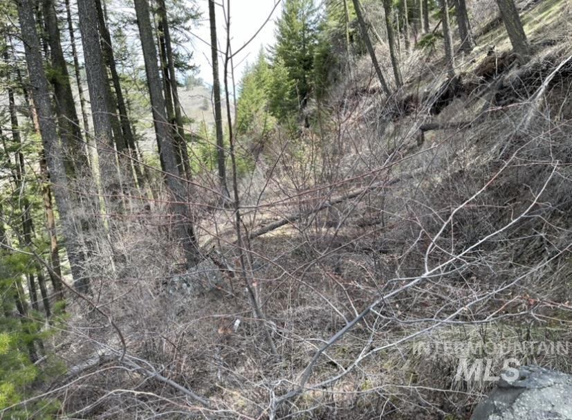 TBD State Highway 129, Anatone, Washington 99401, Land For Sale, Price $34,900,MLS 98978915