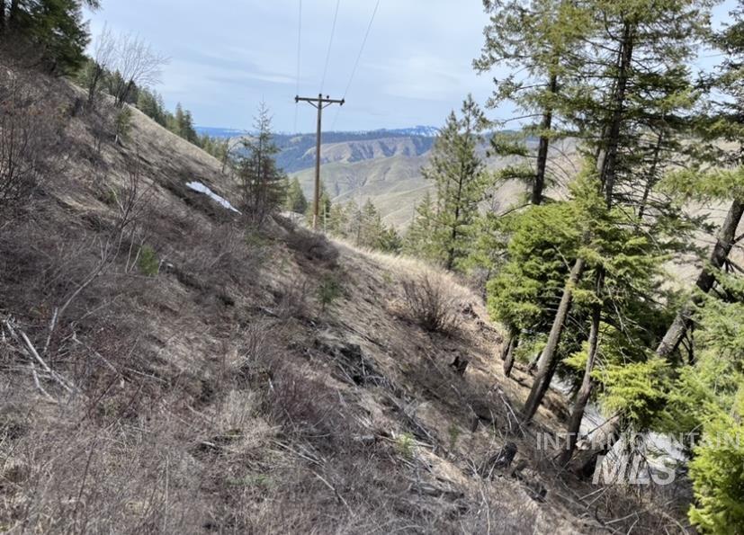 TBD State Highway 129, Anatone, Washington 99401, Land For Sale, Price $34,900,MLS 98978915