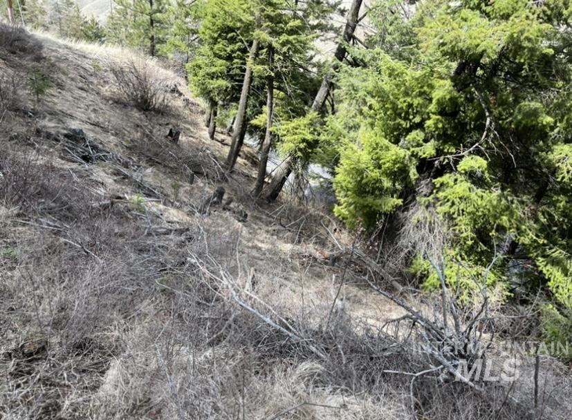 TBD State Highway 129, Anatone, Washington 99401, Land For Sale, Price $34,900,MLS 98978915