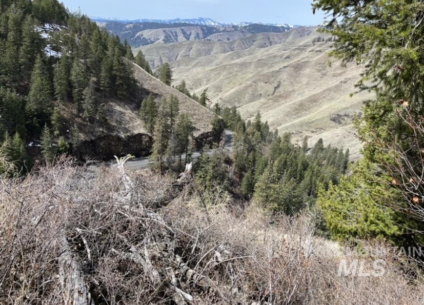 TBD State Highway 129, Anatone, Washington 99401, Land For Sale, Price $34,900,MLS 98978915