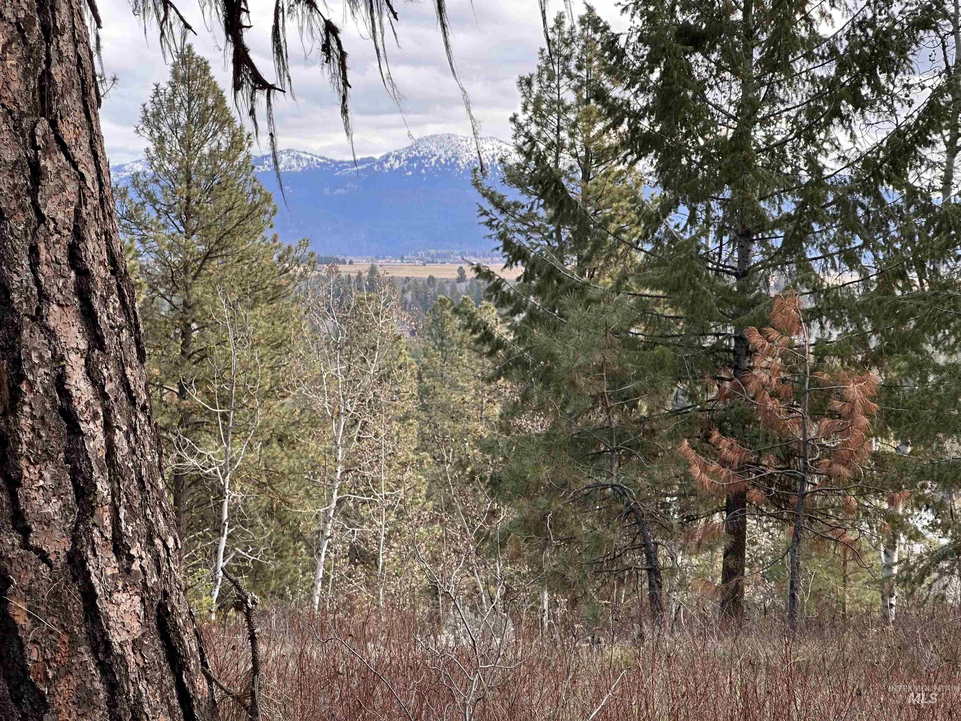 320 BlackHawk Lake Dr., McCall, Idaho 83638, Land For Sale, Price $420,000, 98978923