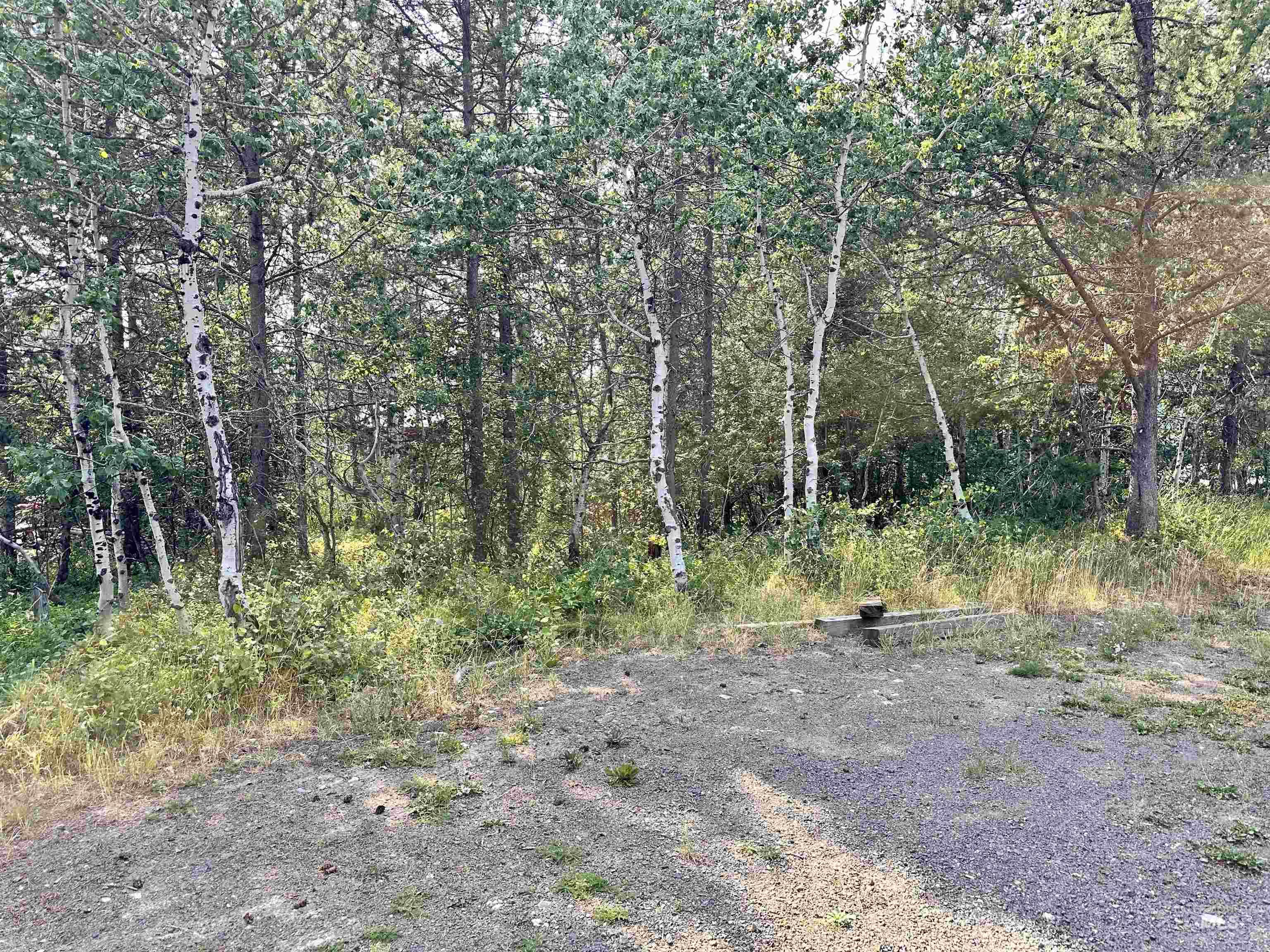 615 Syringa, McCall, Idaho 83638, Land For Sale, Price $230,000, 98978924