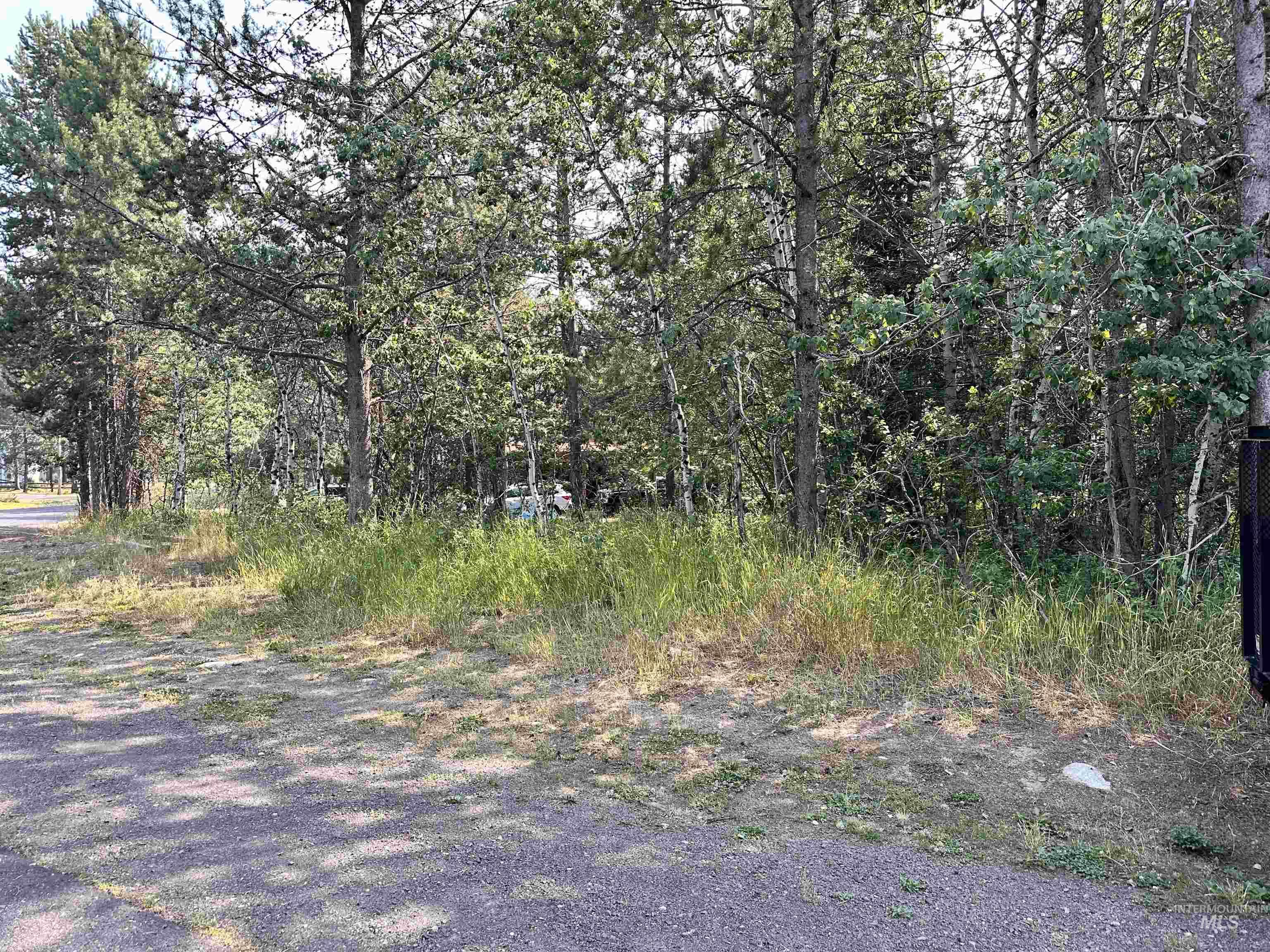 615 Syringa, McCall, Idaho 83638, Land For Sale, Price $230,000, 98978924