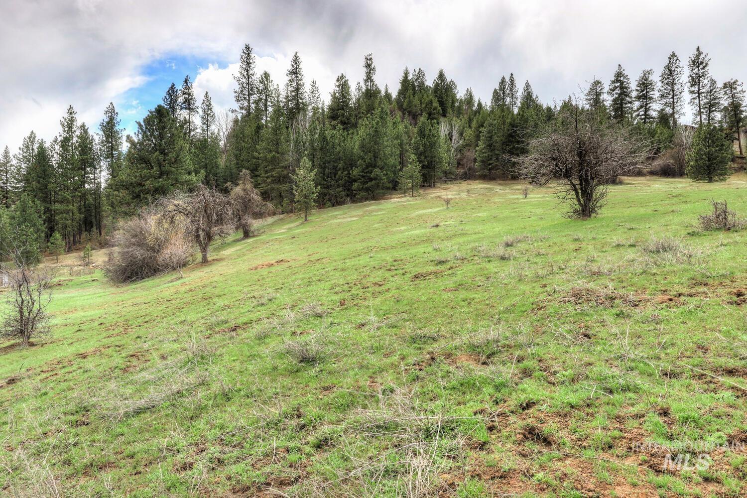 Lot 30 + Crosstimber Loop, Garden Valley, Idaho 83622, Land For Sale, Price $255,000,MLS 98978946