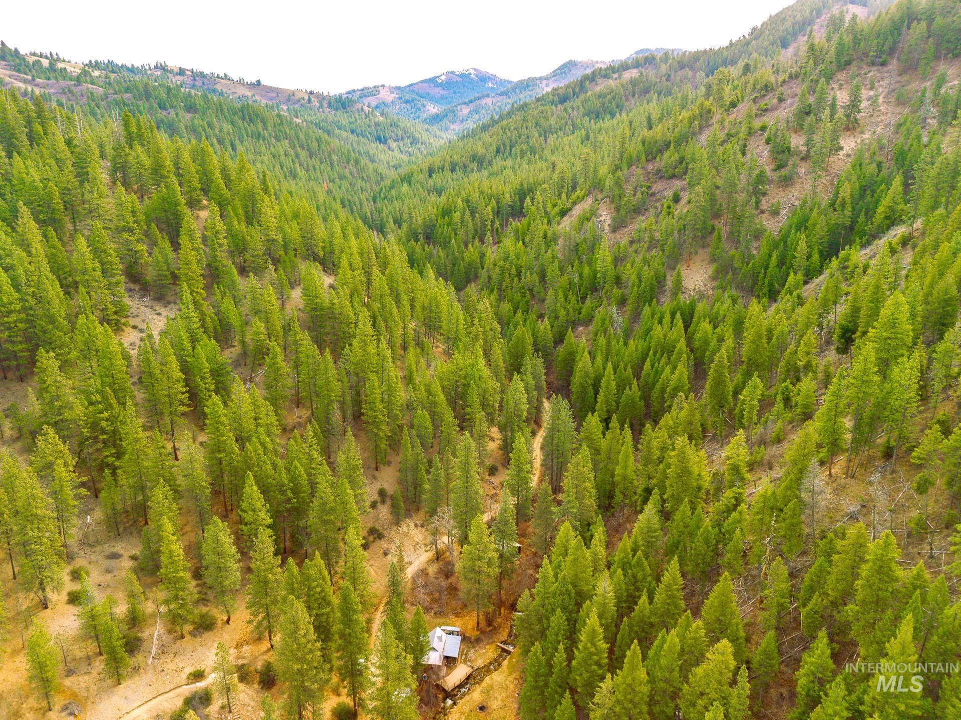 26 Yellow Pine, Boise, Idaho 83716, 1 Bedroom, 1 Bathroom, Residential For Sale, Price $400,000,MLS 98978949