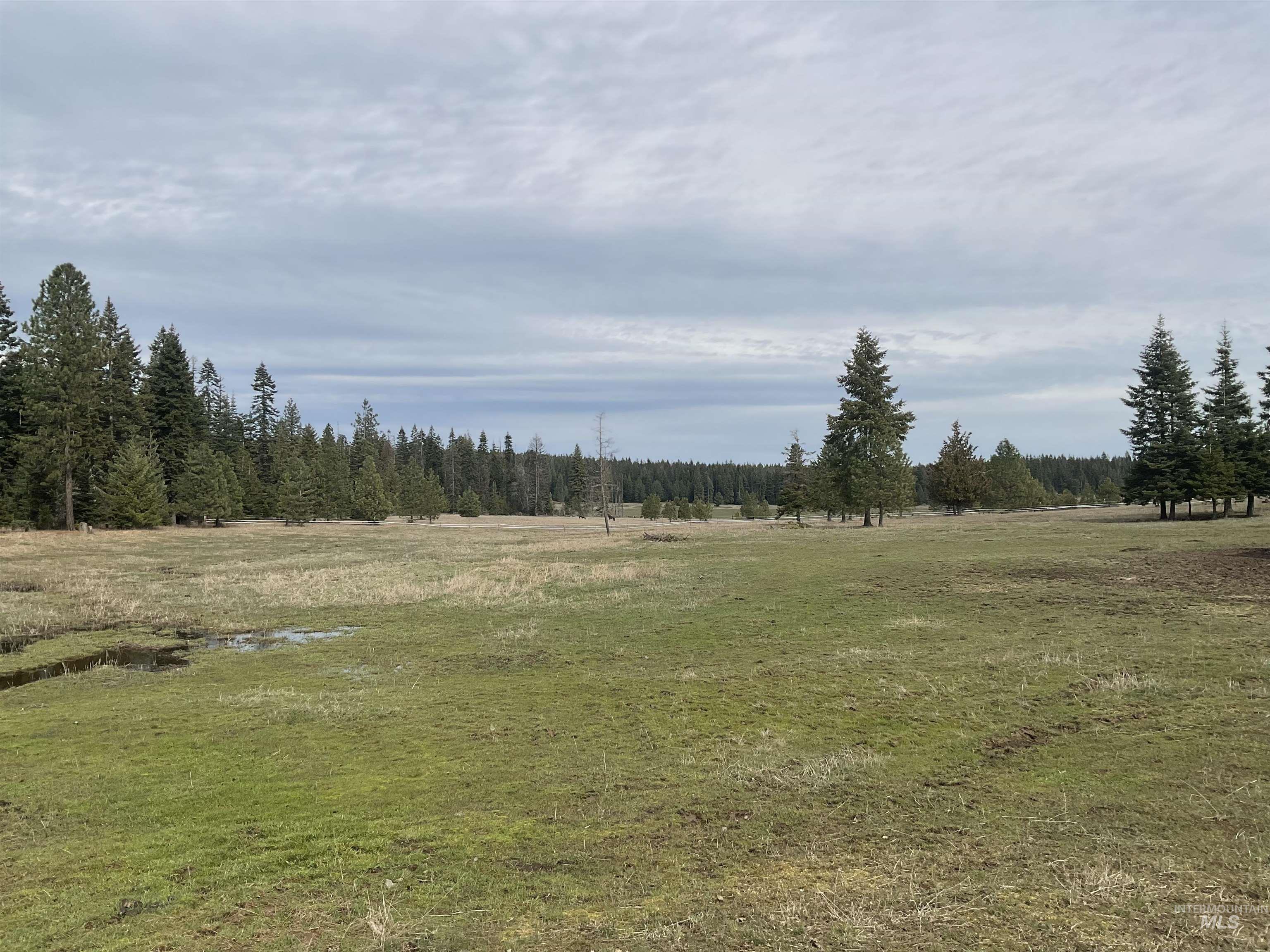 10749 Upper Fords Creek, Orofino, Idaho 83544, 3 Bedrooms, 2 Bathrooms, Residential For Sale, Price $759,000,MLS 98978953