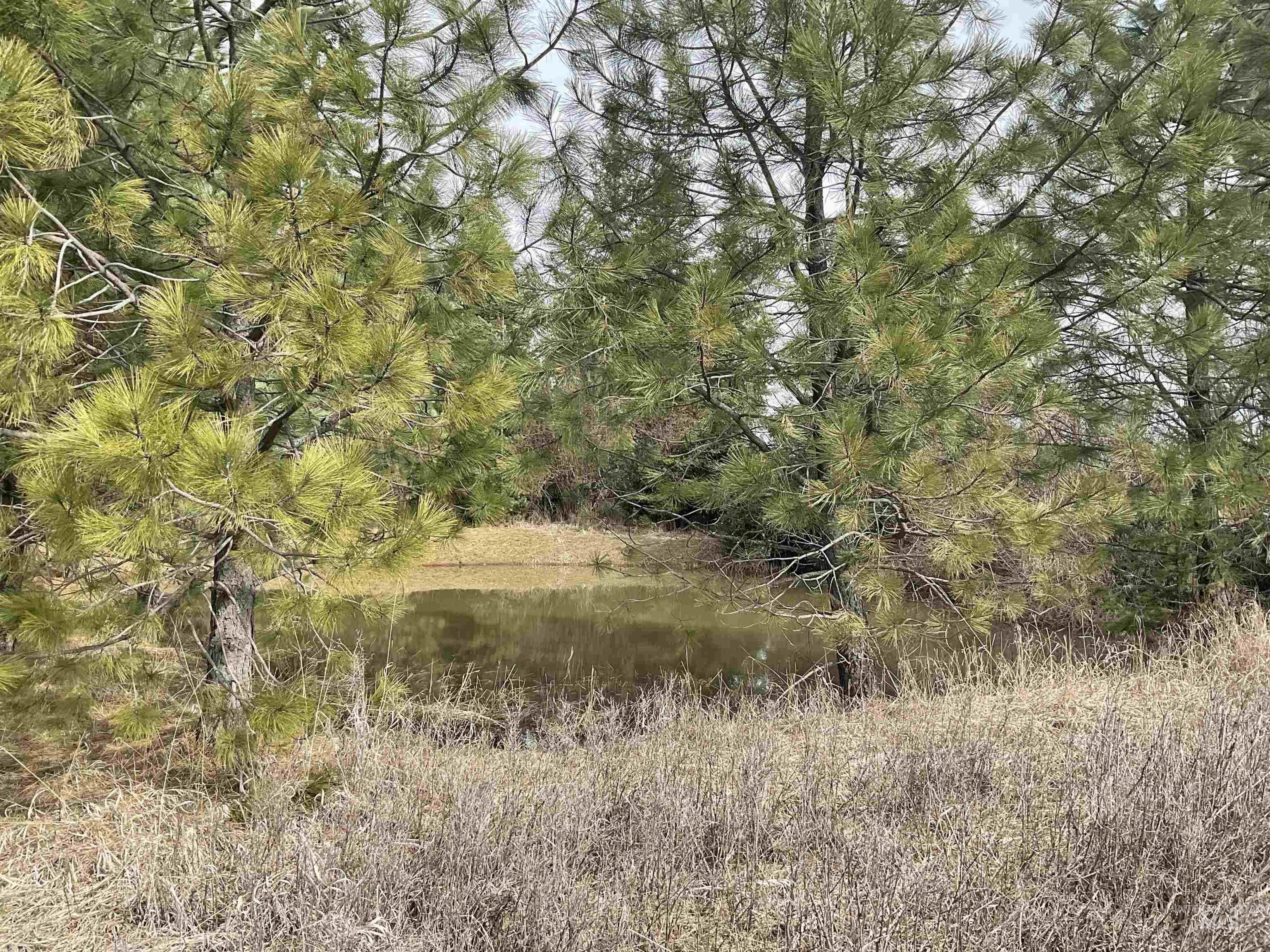 10749 Upper Fords Creek, Orofino, Idaho 83544, 3 Bedrooms, 2 Bathrooms, Residential For Sale, Price $739,000, 98978953