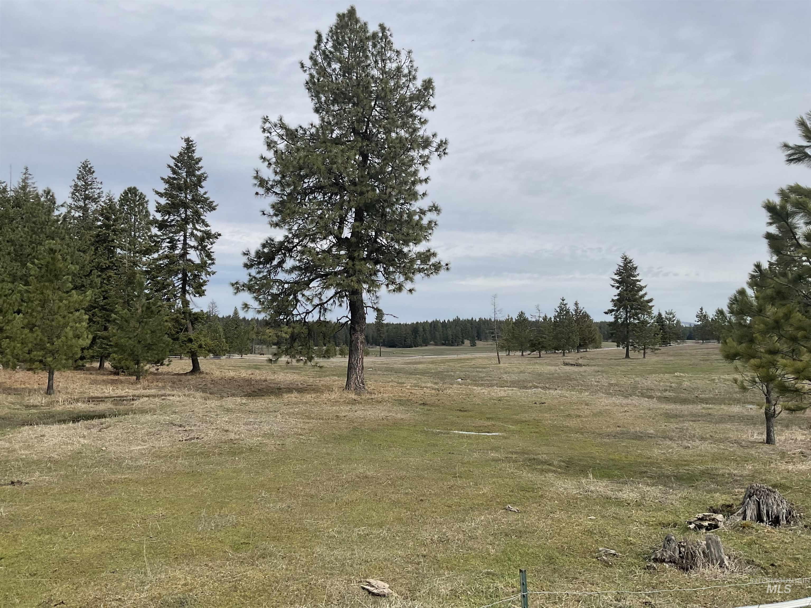 10749 Upper Fords Creek, Orofino, Idaho 83544, 3 Bedrooms, 2 Bathrooms, Residential For Sale, Price $759,000,MLS 98978953