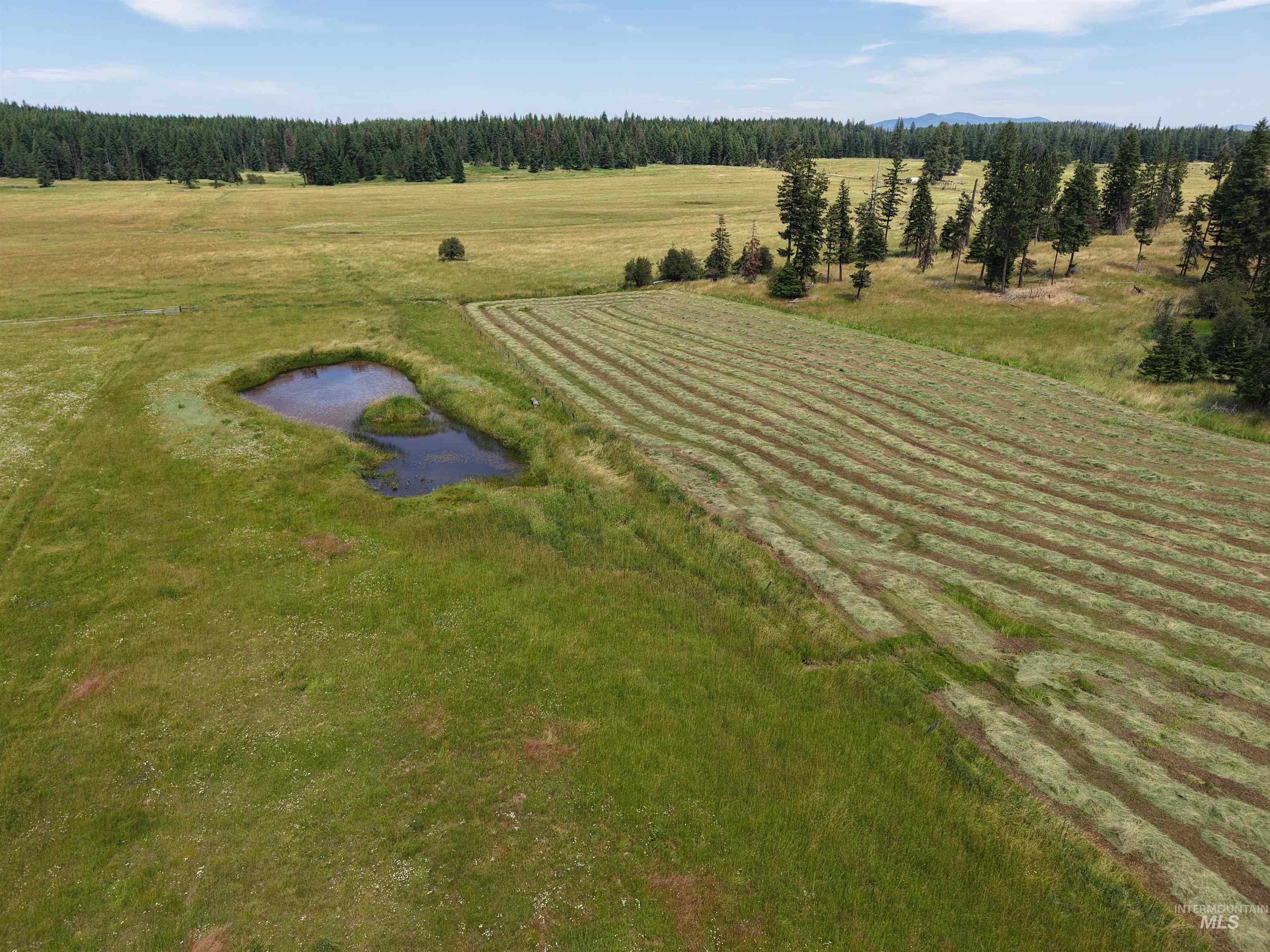 10749 Upper Fords Creek, Orofino, Idaho 83544, 3 Bedrooms, 2 Bathrooms, Residential For Sale, Price $739,000, 98978953