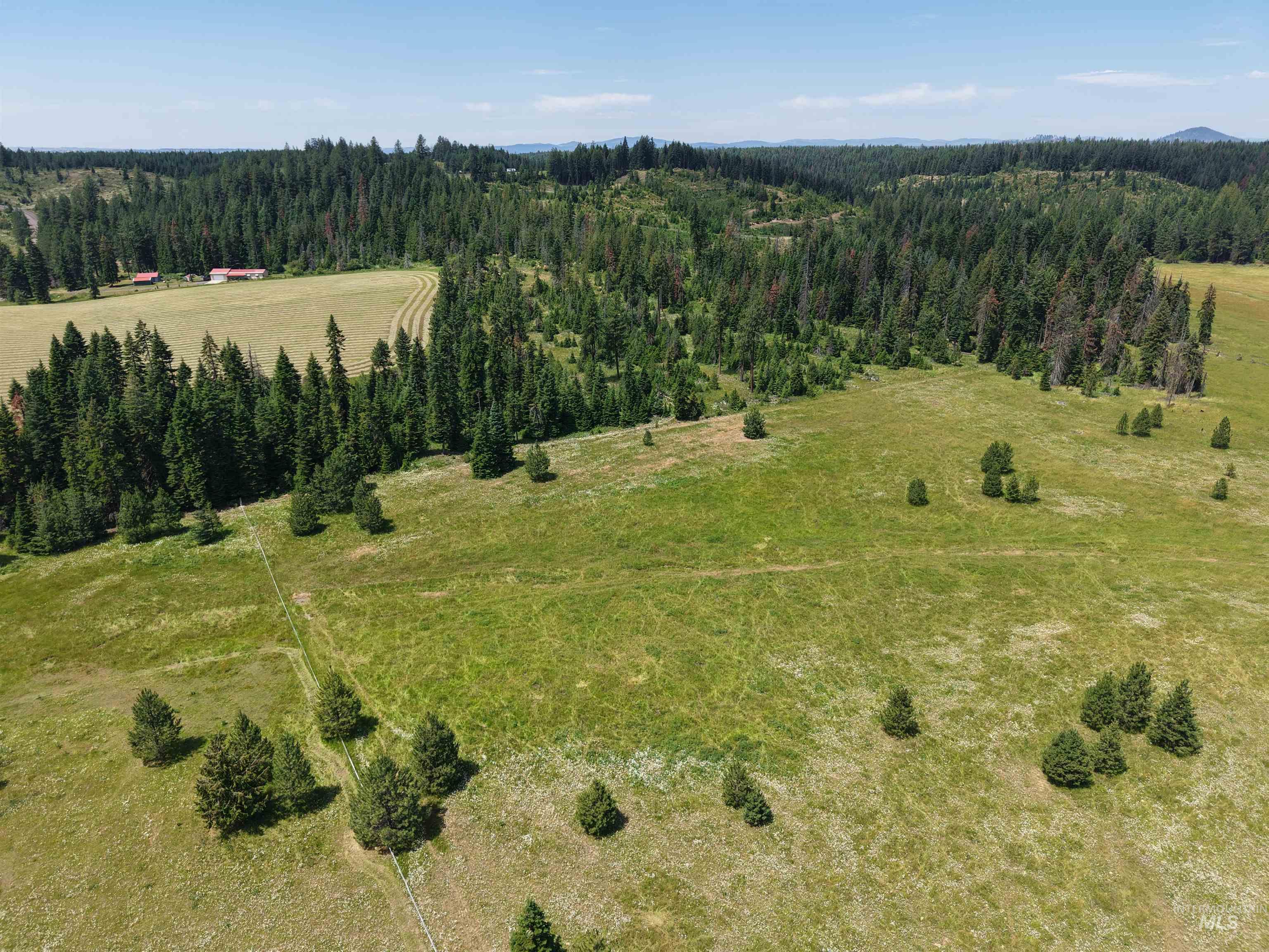 10749 Upper Fords Creek, Orofino, Idaho 83544, 3 Bedrooms, 2 Bathrooms, Residential For Sale, Price $739,000, 98978953